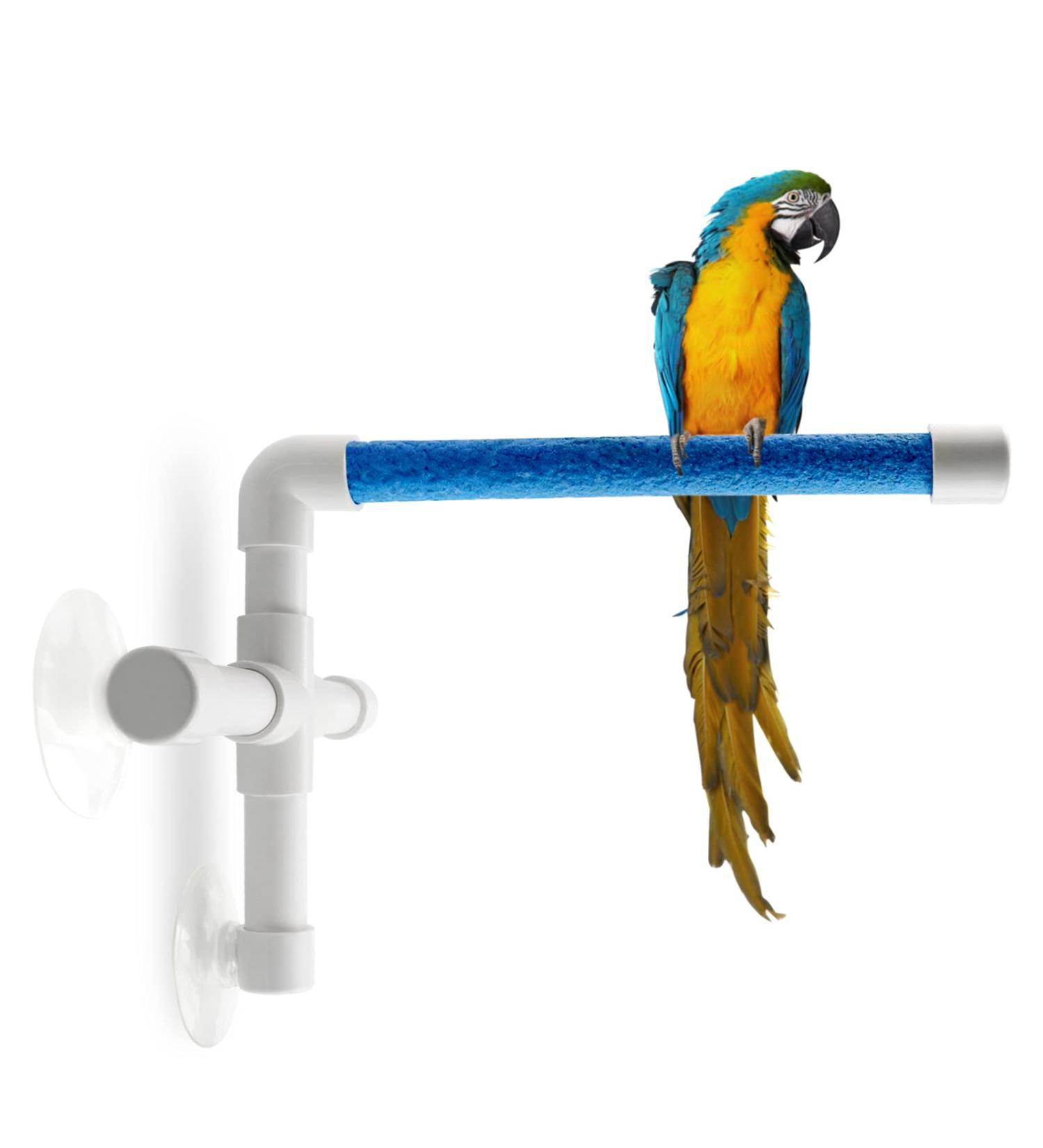 CZWESTC Bird Perch with Suction Cup - Shower & Window Stand for Parrots - Ideal for Cockatoos, Macaws, Parakeets - Assorted Colors - Buy Online on GoSupps.com