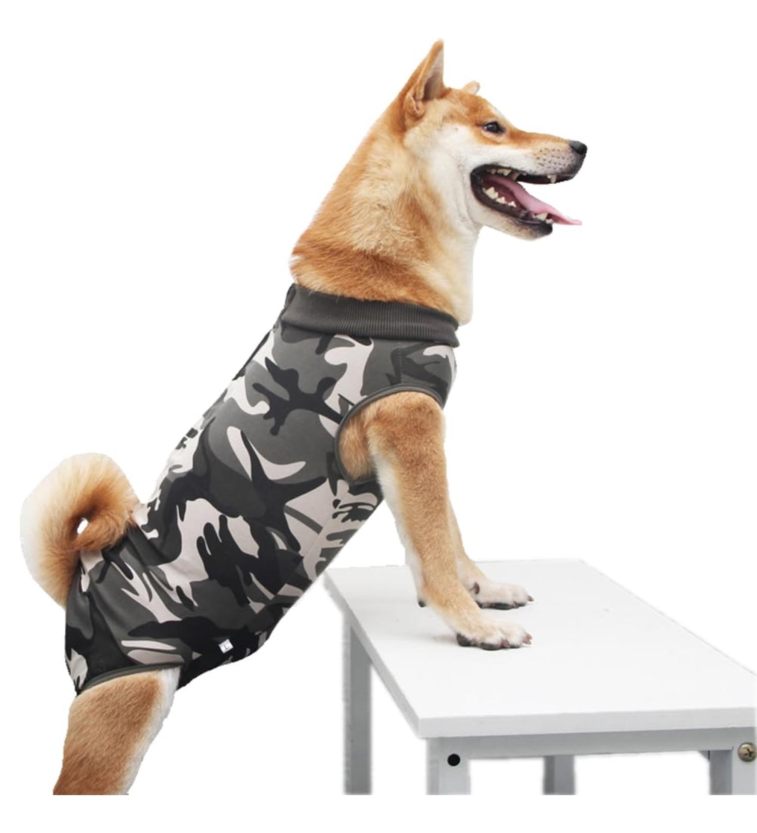 Dog Surgery Recovery Suit | Medical Pet Shirt for Dogs & Cats | XL Camouflage Onesie for After Surgery Recovery - Buy Online on GoSupps.com