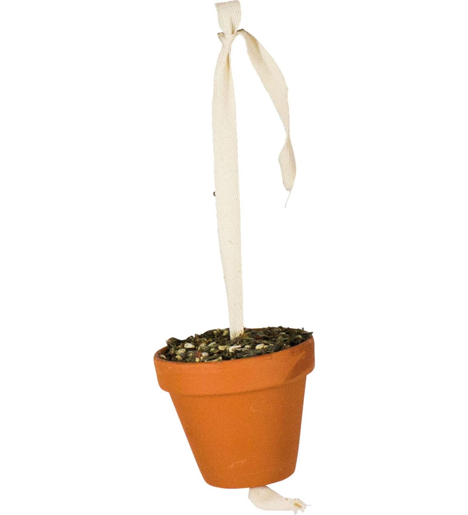 JR FARM Birds Clay Pot Large Parakeet & Parrot 260 g