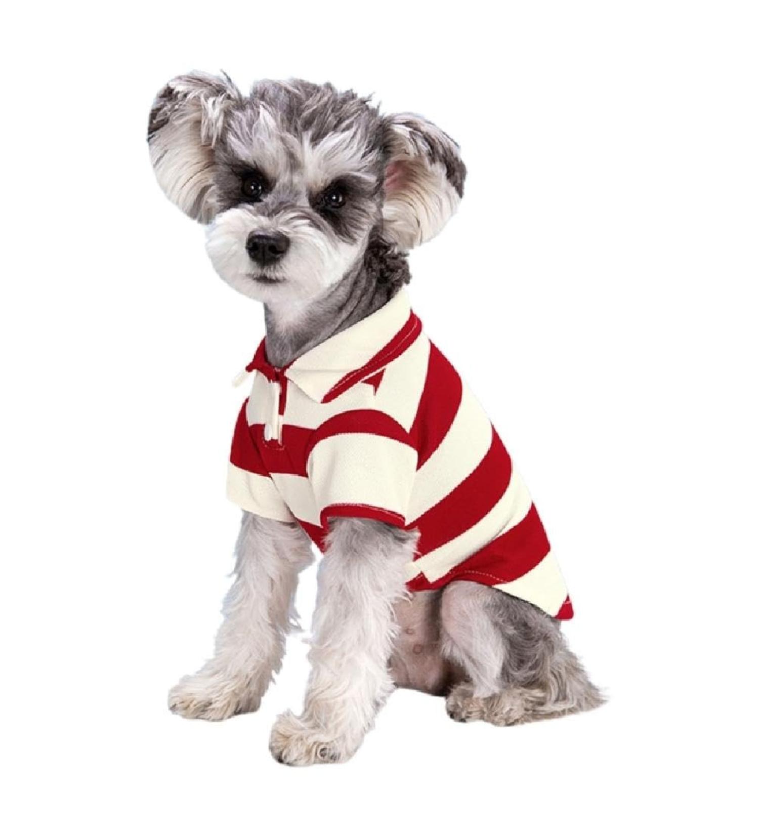 Trendy Red Striped Polo Shirt for Small Dogs - Summer Two-Legged Costume for Bichon & French Bulldog | Breathable 2XL Dog Shirt - Buy Online on GoSupps.com