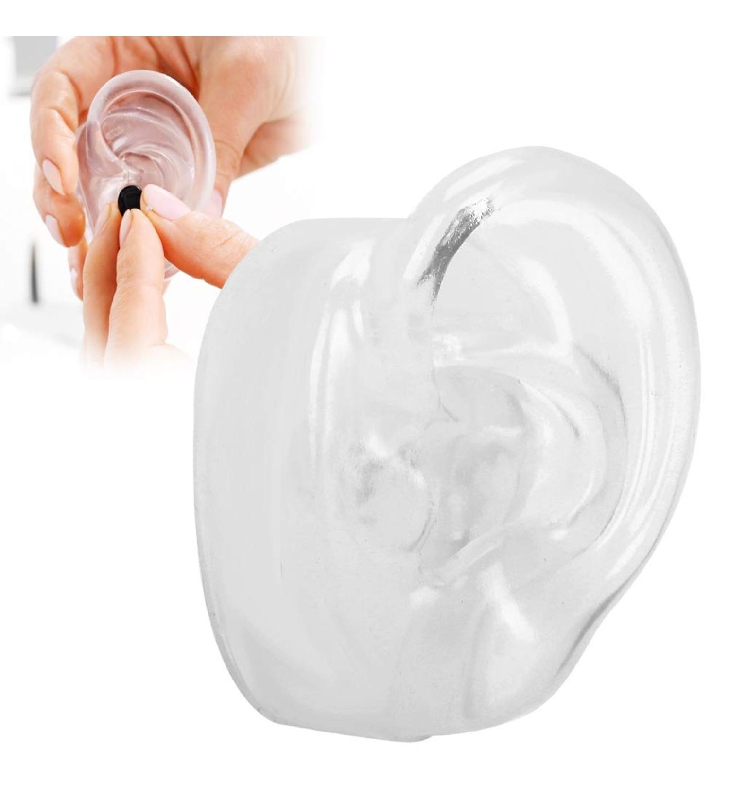 Silicone Ear Model for Hearing Aids | Realistic Artificial Ear Display for Window & Ear Impression Practice - Buy Online on GoSupps.com