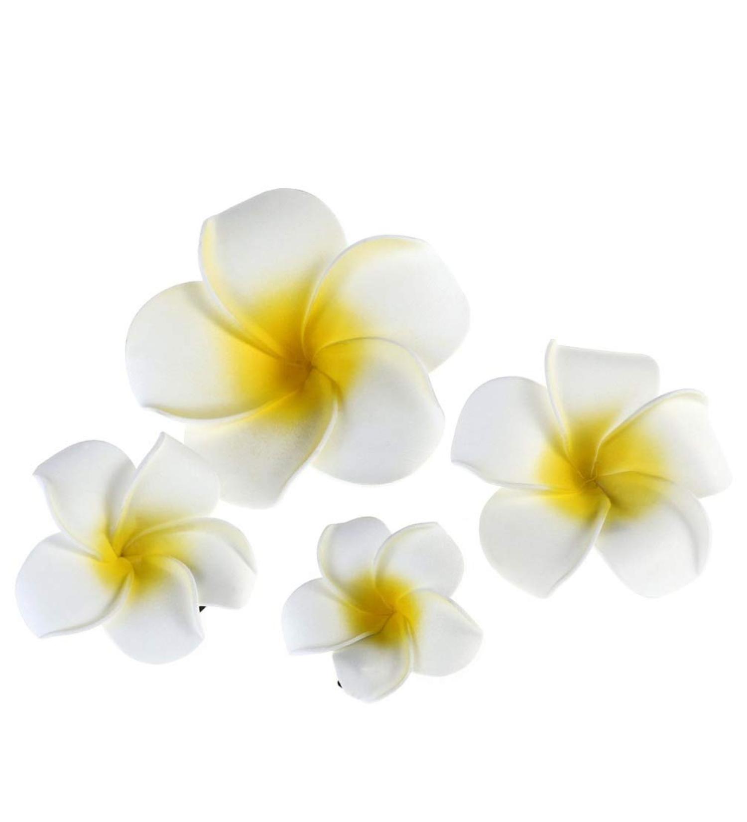 FRCOLOR 4Pcs Hawaiian Flower Hair Clip | Plumeria Hairpin for Kids & Women | Beach Foam Hair Accessories - Buy Online on GoSupps.com