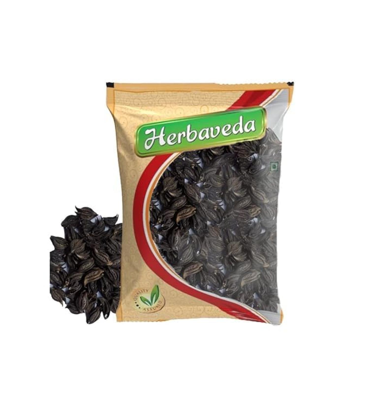 Devil's Claw 200 GM | Bat head root | Devil's pod | Vampire root For puja - Buy Online on GoSupps.com