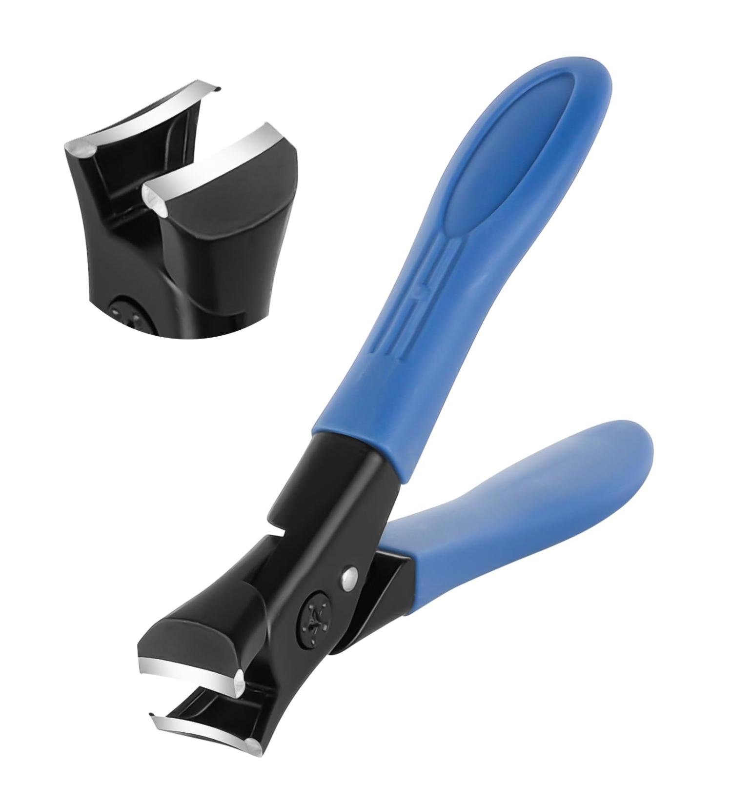 Lophe Premium Large Nail Clipper - Sharp Steel Nail Scissors with Collection Container for Thick Toenails & Fingernails - Ideal for Women Men & Seniors - Rubber Blue - Buy Online on GoSupps.com