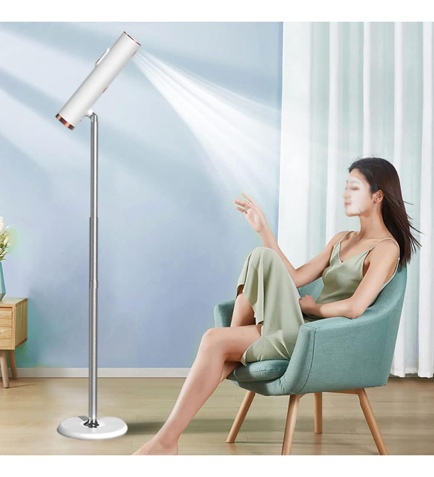 Standing Hair Dryer Portable Negative Ion Hair Dryer Remote Control Intelligent Constant Temperature 5 Speeds Wind 5 Levels of Temperature Double Air Outlet for Travel Curly Hair - Buy Online on GoSupps.com