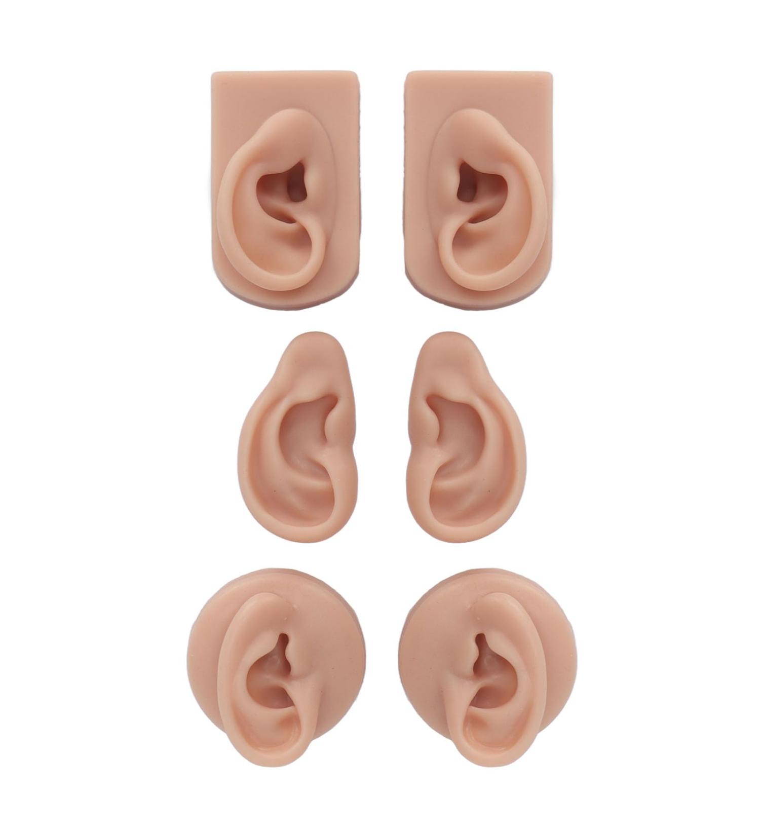 Soft Silicone Ear Models - 3 Pairs Flexible & Anatomically Correct for Piercing Training & Jewelry Display - Buy Online on GoSupps.com