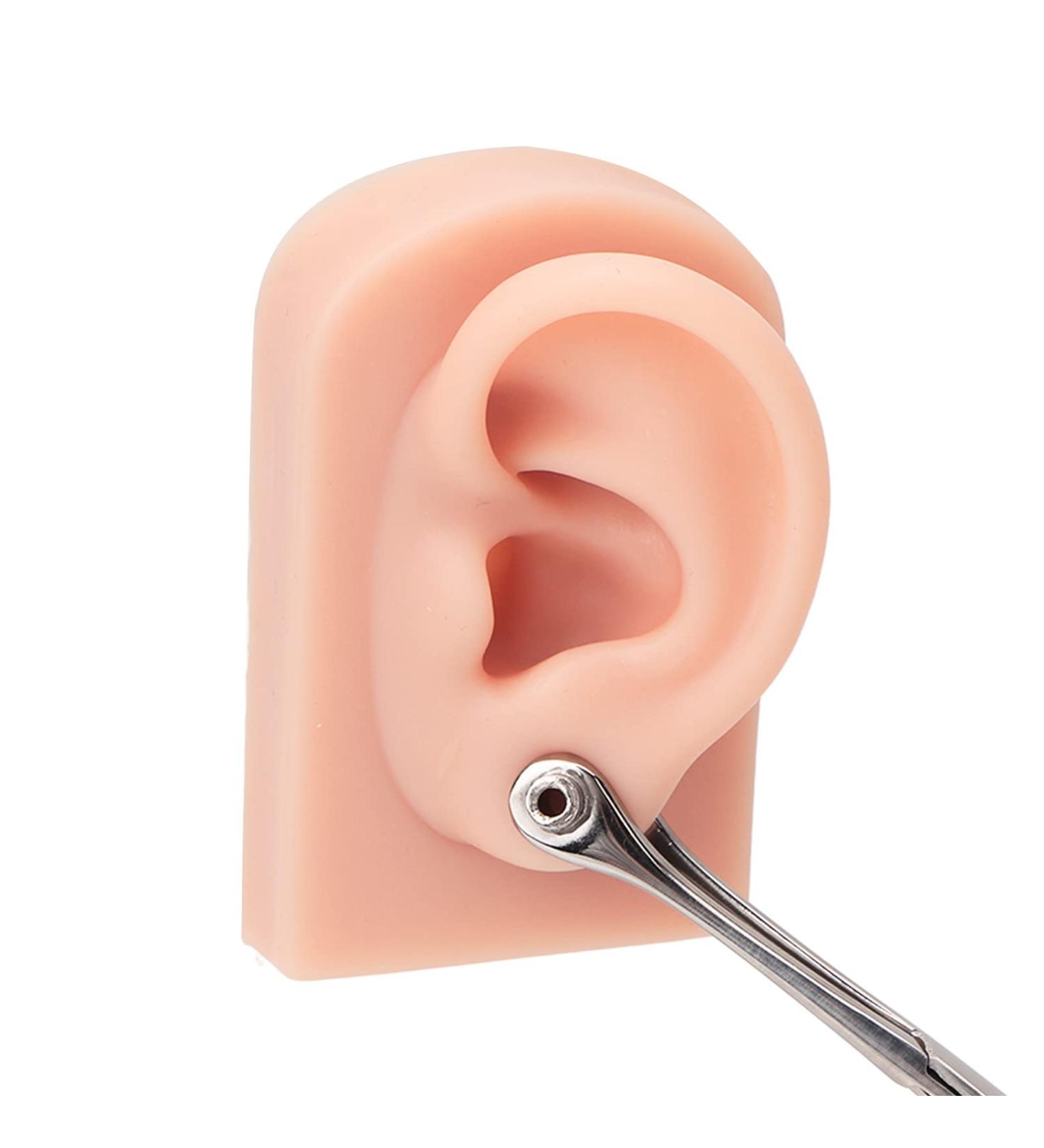 Silicone Ear Model Pair - Human Ear Display Teaching Aid - Fake Ear Practice Piercings Tools - Buy Online on GoSupps.com
