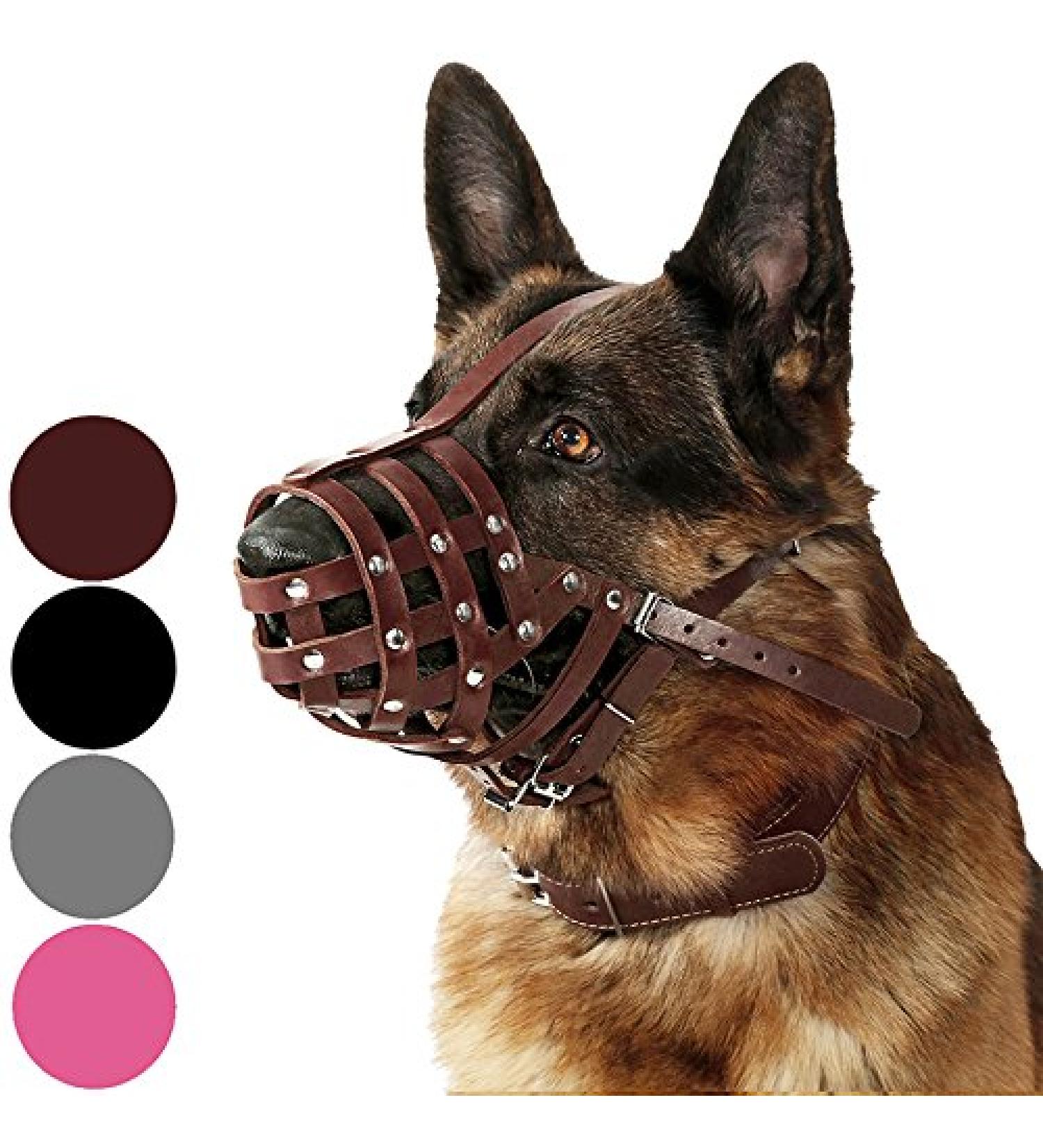 Collardirect Leather Basket Muzzle for Large Breeds - German Shepherd Dalmatian Doberman Setter - Medium Size (1 Piece) - Chestnut Brown - Buy Online on GoSupps.com