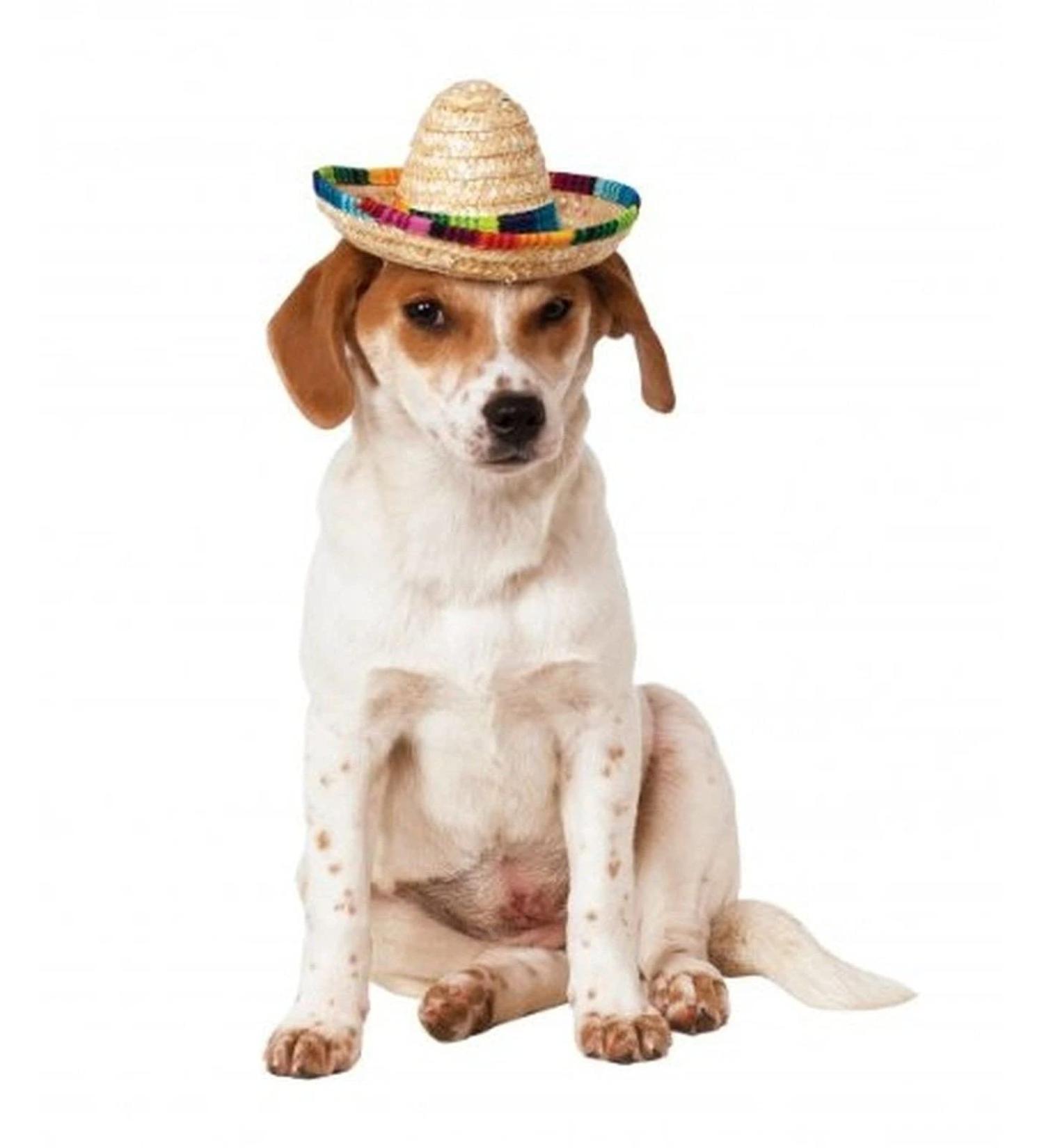 Rubie's Official Sombrero Pet Dog Costume Small/Medium