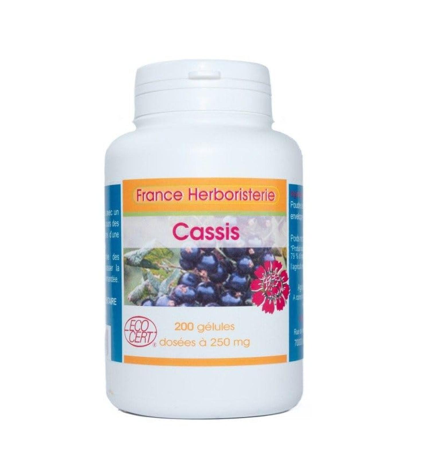GELULES CASSIS feuille 200 g lules dos es 250 mg