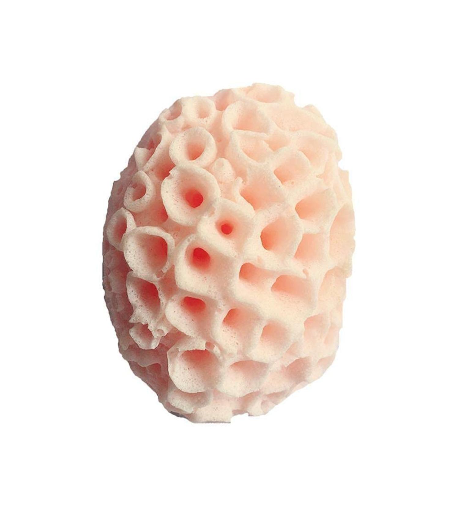 Exfoliating Natural Hair Sponge: Dead Skin Remover & Body Cleanser - Buy Online on GoSupps.com