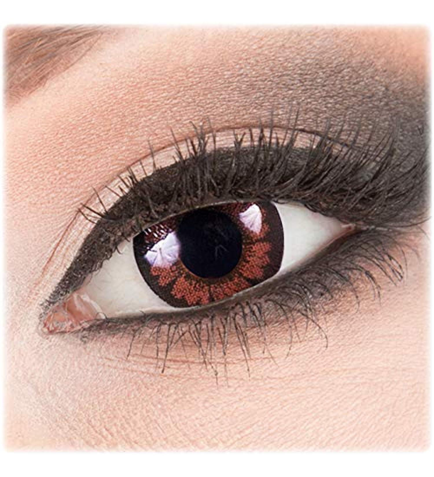 Meralens Circle Brown Contact Lenses - Big Eyes 14mm Hazel + 60ml Solution & Case | International Shipping - Buy Online on GoSupps.com