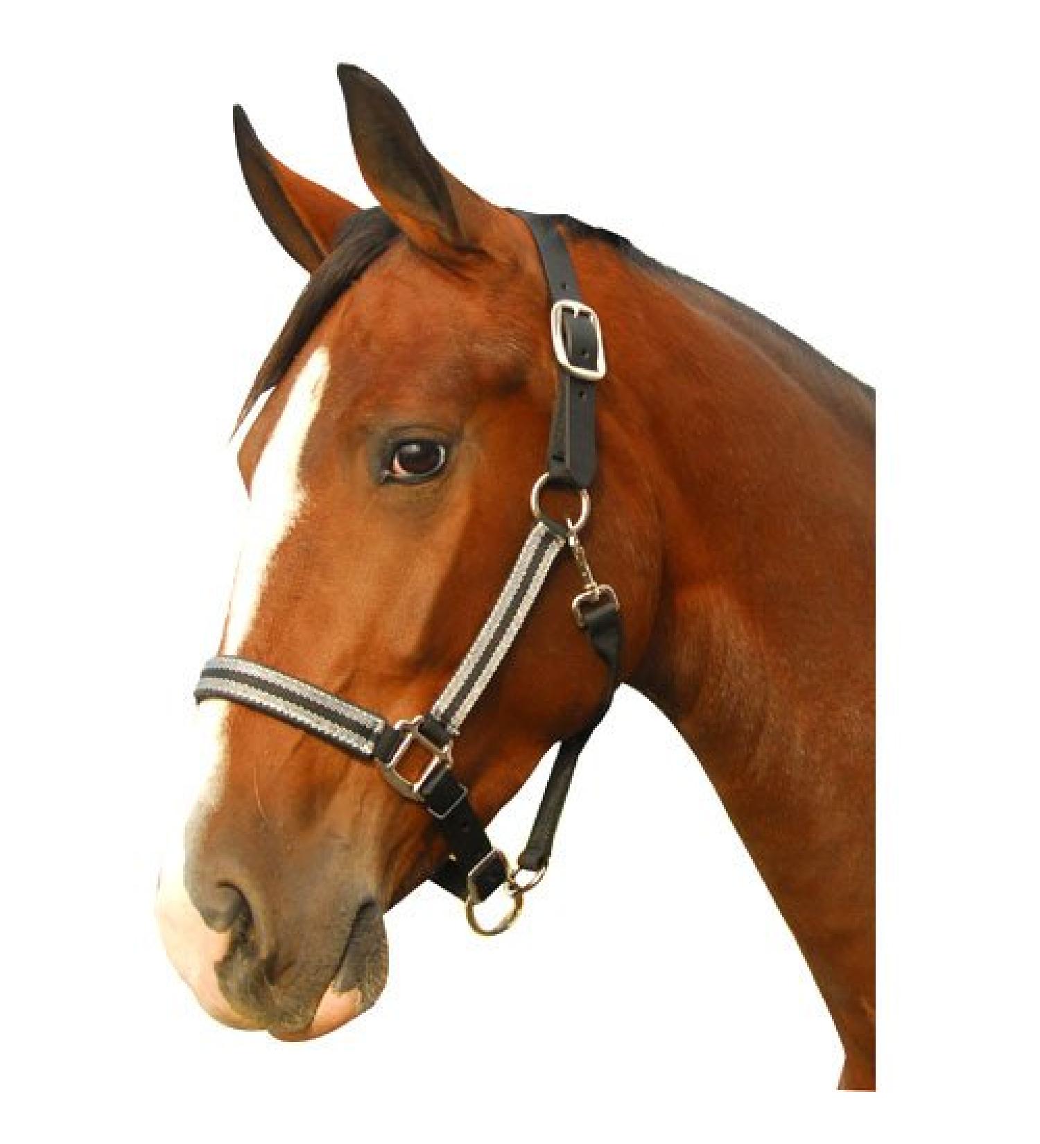 Intrepid International Breakaway Leather Crown Padded Halter Full Black/Silver