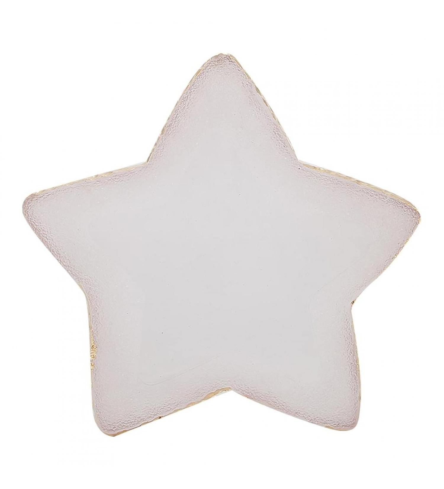 Fyearfly Nail Art Painting Palette - Harz Gel Color Mix Display Holder for Families & Salons | Manicure Tools - Star Transparent - Buy Online on GoSupps.com