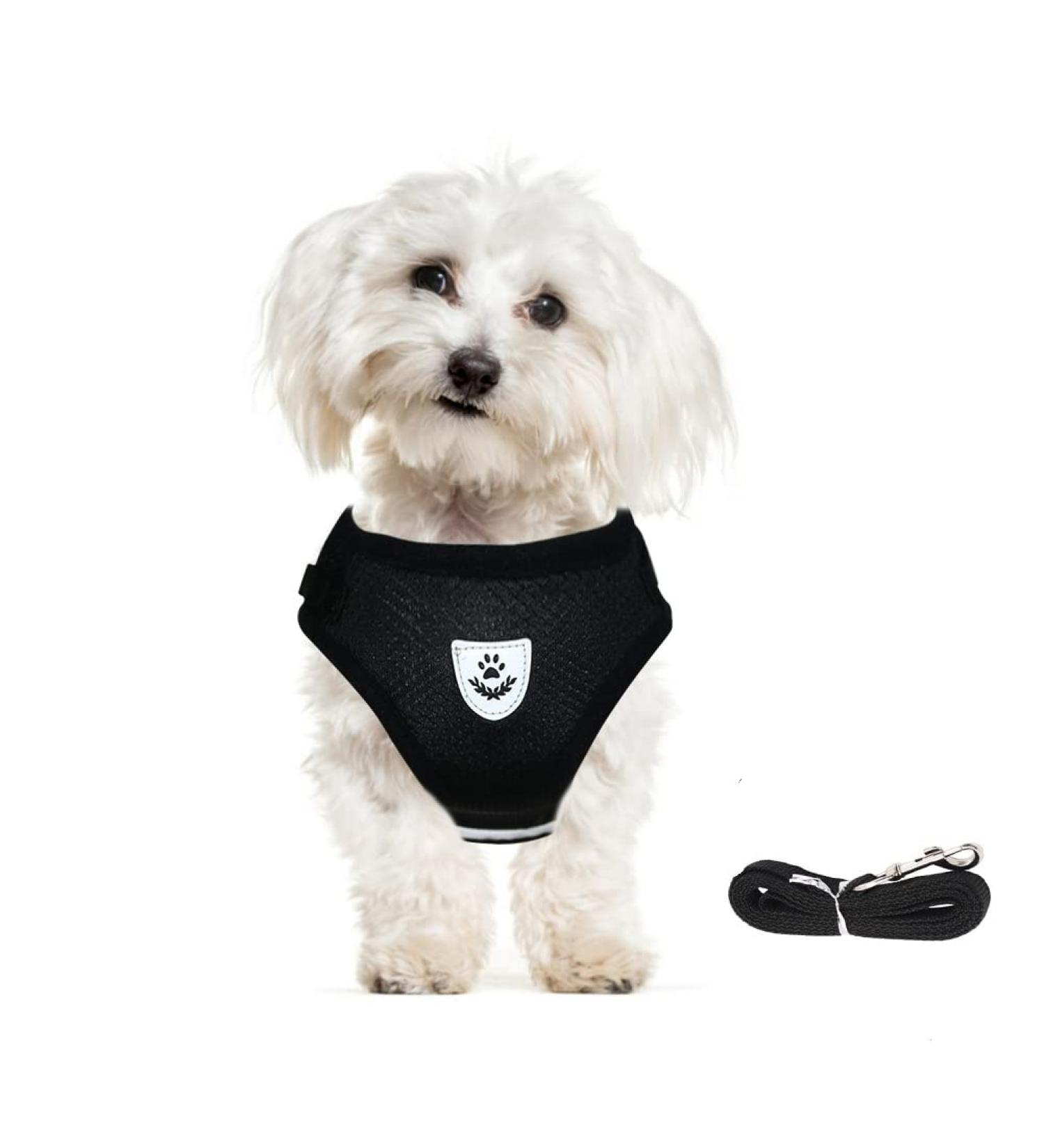 Meioro Adjustable Dog Harness with Leash - Soft Padded Vests for Small & Medium Puppies/Cats Reflective Black M (Breast: 35-40cm) - Buy Online on GoSupps.com