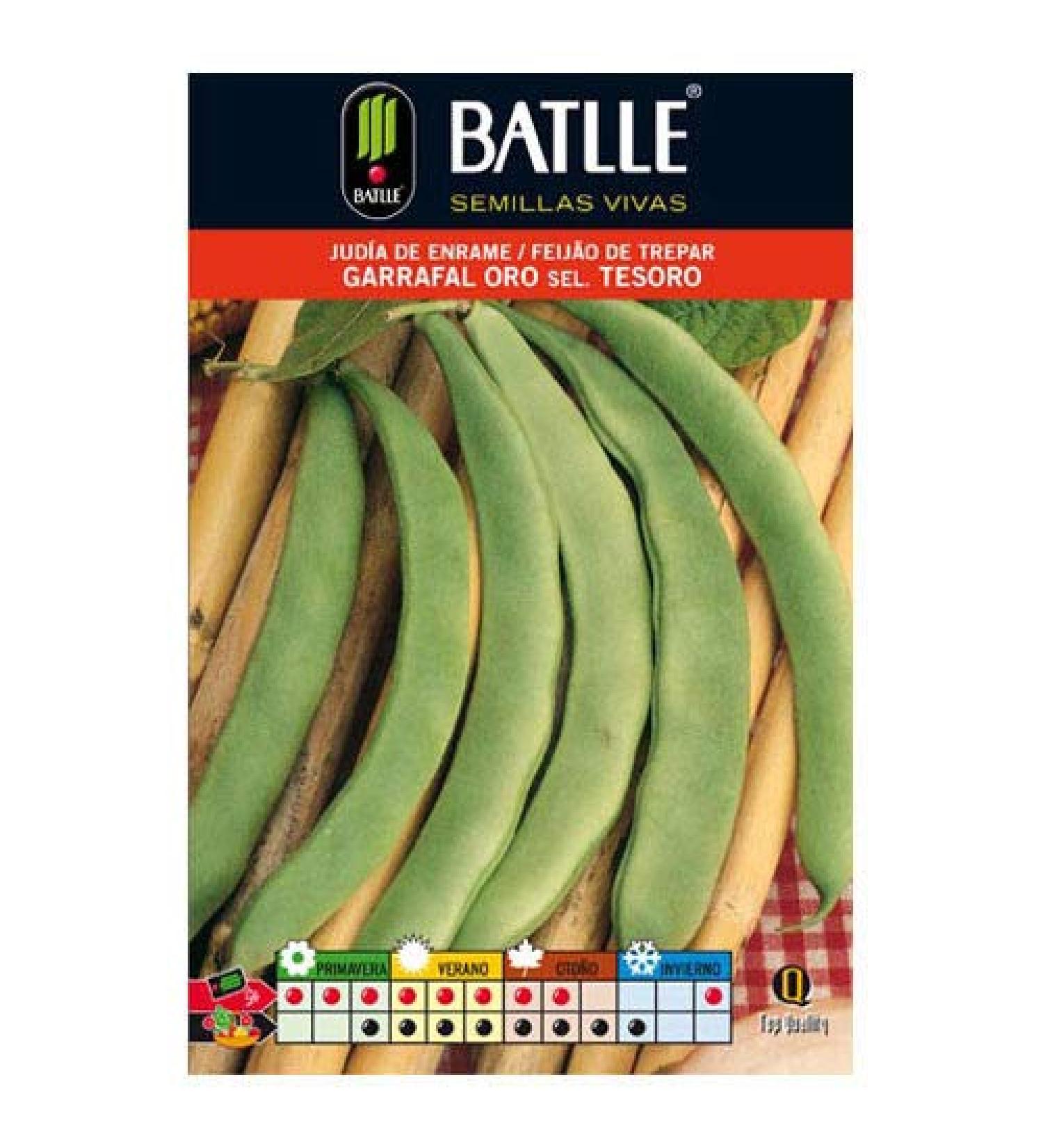 Portal Cool I Horticultural Seeds Batlle Jewish Enrame Garrafal Gold SEL Treasure 100G