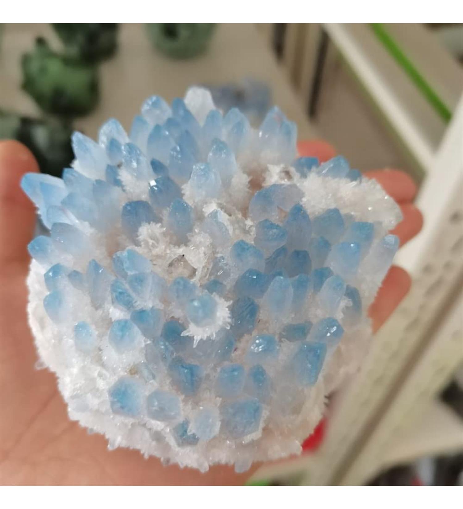 Home Decoration 400-700g Rare Beautiful Blue Ghost Phantom Quartz Crystal Cluster Specimen Chakra Stones Crystal Cluster (Size : 500-600g) - Buy Online on GoSupps.com