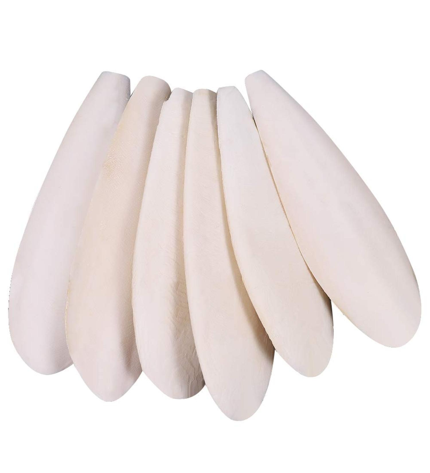 Angelikashalala Parrots Chew Toys - 6 Natural Cuttlefish Bones 10-12cm for Parrots, Birds, Reptiles, Tortoises, and Snails - Buy Online on GoSupps.com