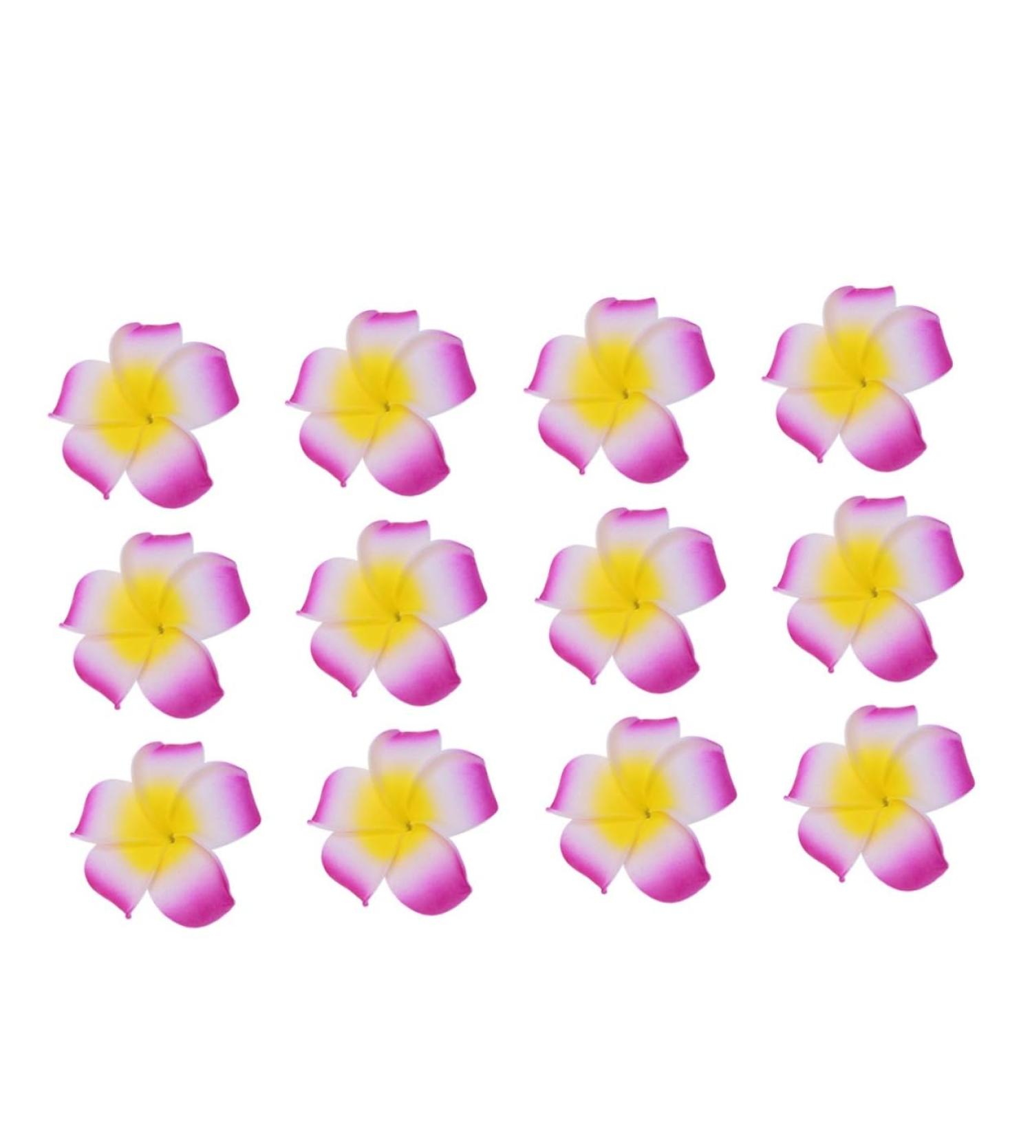 DOITOOL Girl Bows for Hair Hawaiian Barrettes Foam Hair Clips Girl Hair Clips Flower Hairpin Hair Accessory for Girls Floral Hair Accessories Hair Clips for Girls Summer Headgear - Buy Online on GoSupps.com