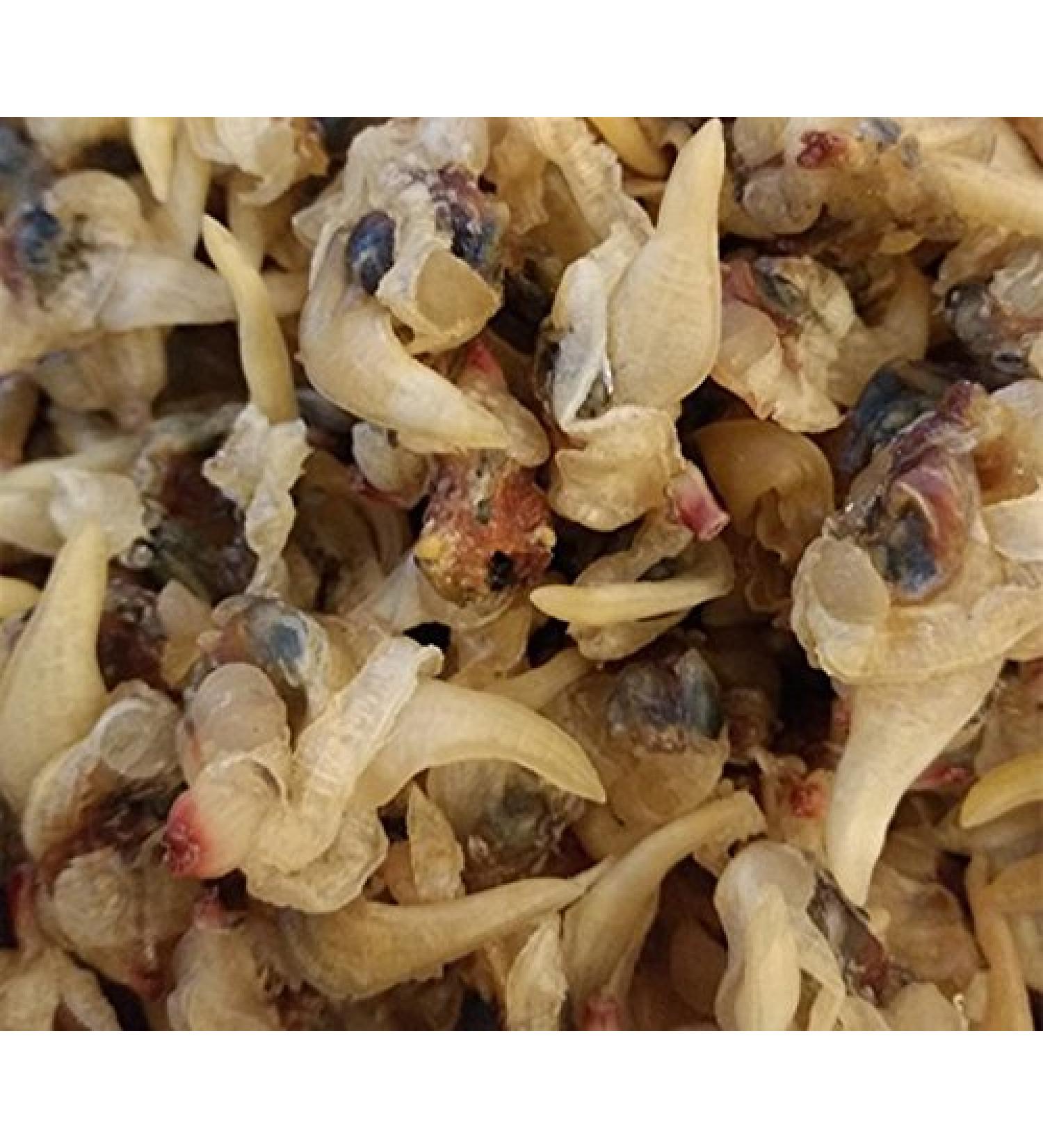 Dried Seafood Mussel Meat 750g - Authentic South China Sea Nanhai | Premium Quality International Shipping - Buy Online on GoSupps.com