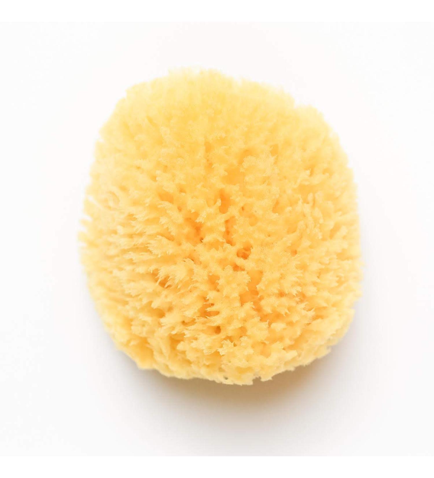 Kyte BABY Natural Sea Sponge 4-5 Inches | Gentle and Eco-Friendly Bath Sponge - Buy Online on GoSupps.com