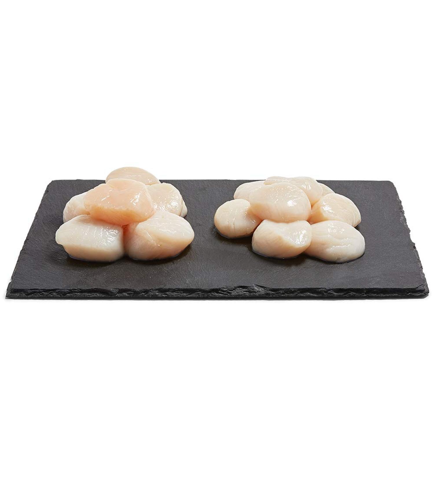 Fresh Sea Scallops