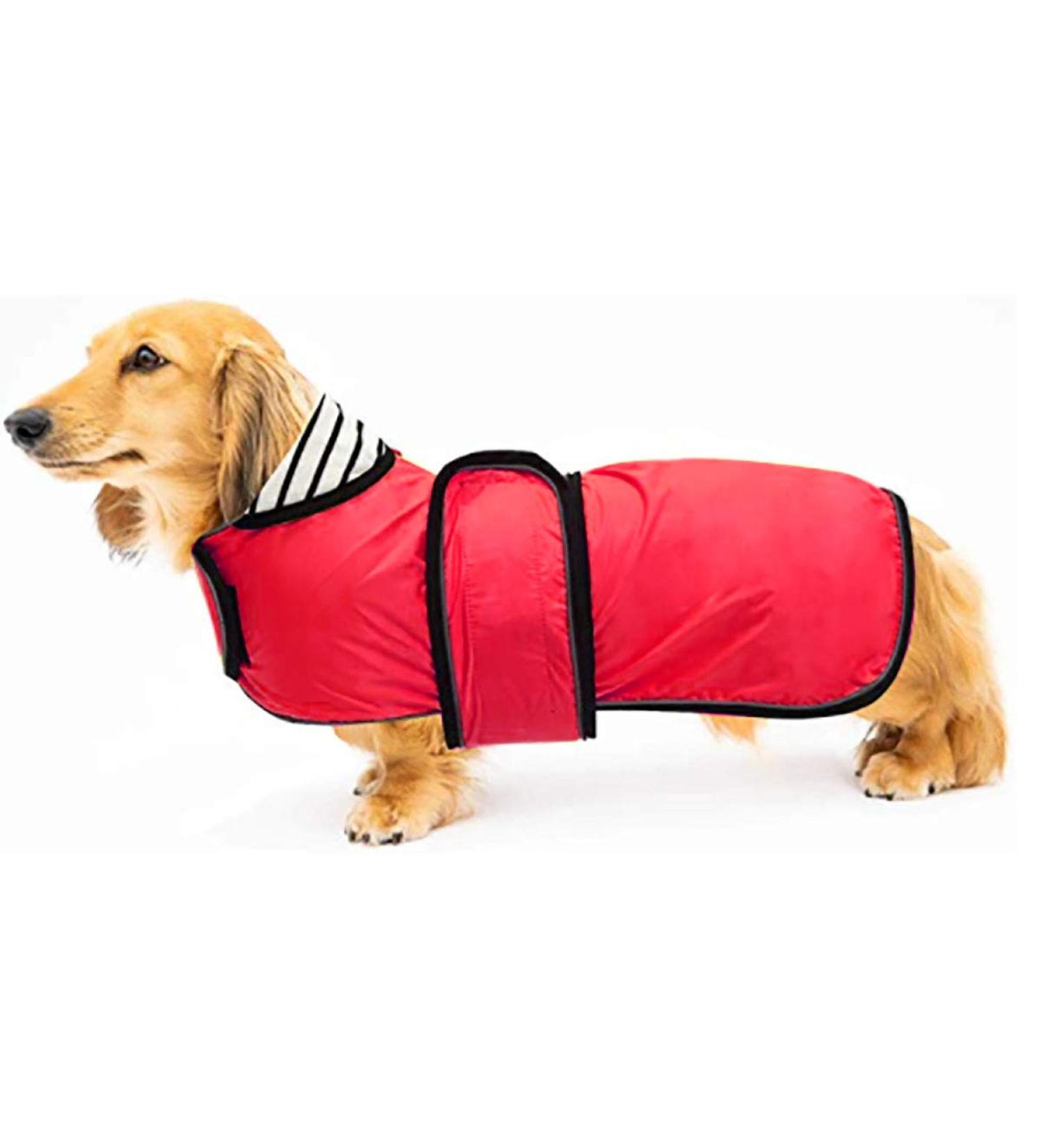 Buy Geyecete Adjustable Waterproof Dog Raincoat for Dachshunds | Reflective Straps & Velcro Fastener | XS Red (Back Length: 28-31cm) - Perfect for Miniature Dackels - Buy Online on GoSupps.com