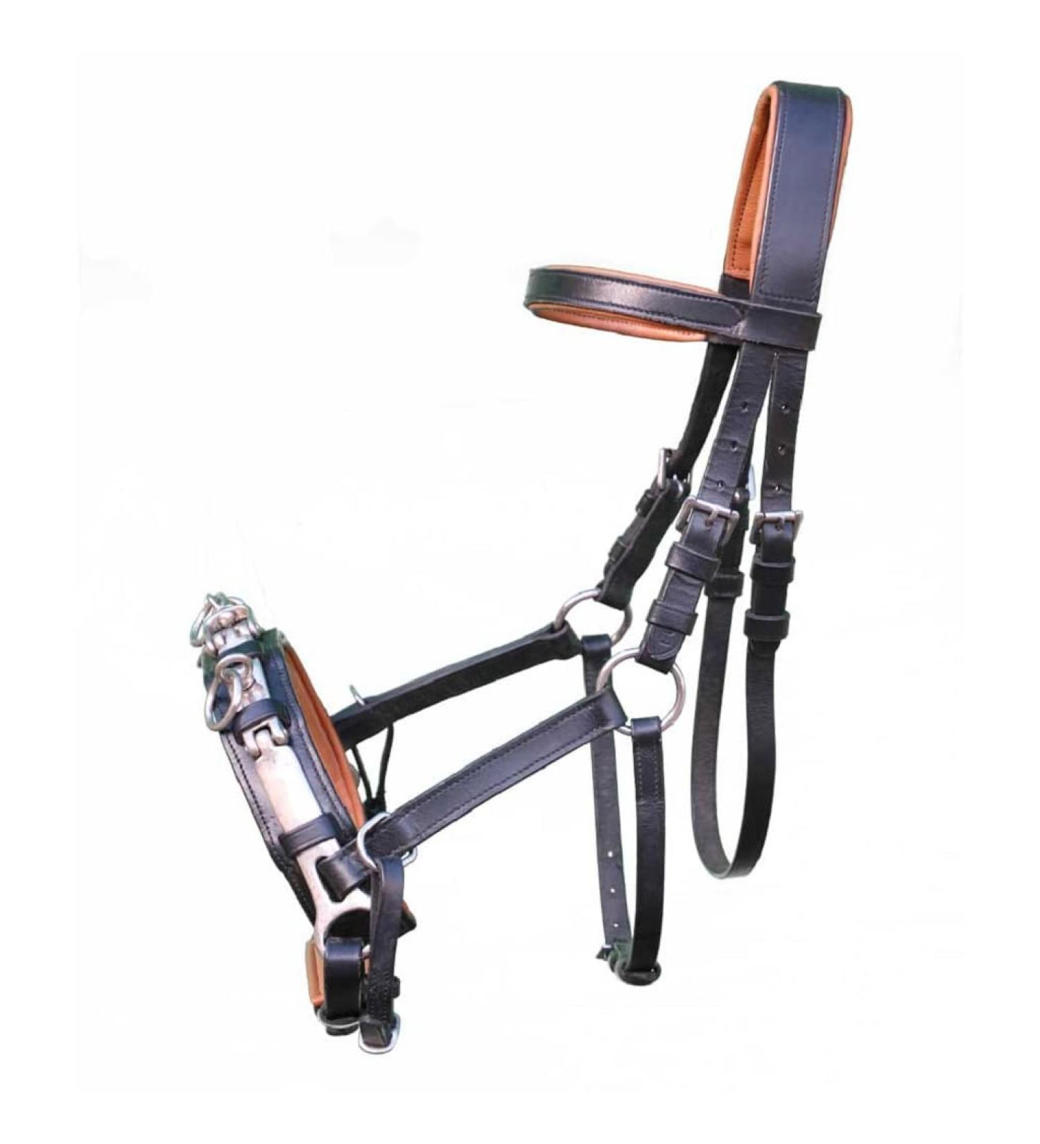 Brama West Leather Cavesson with Nosepiece - Size Cob