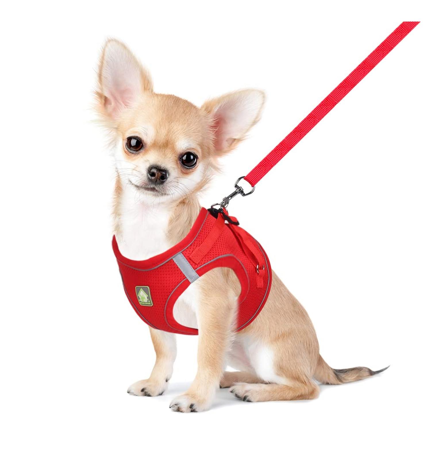 Femax Soft Mesh Dog Harness with Leash for Small & Medium Dogs & Cats - Adjustable Reflective No Pull Vest for Chihuahua & Kittens (XS Chest 26-29cm) - Red - Buy Online on GoSupps.com