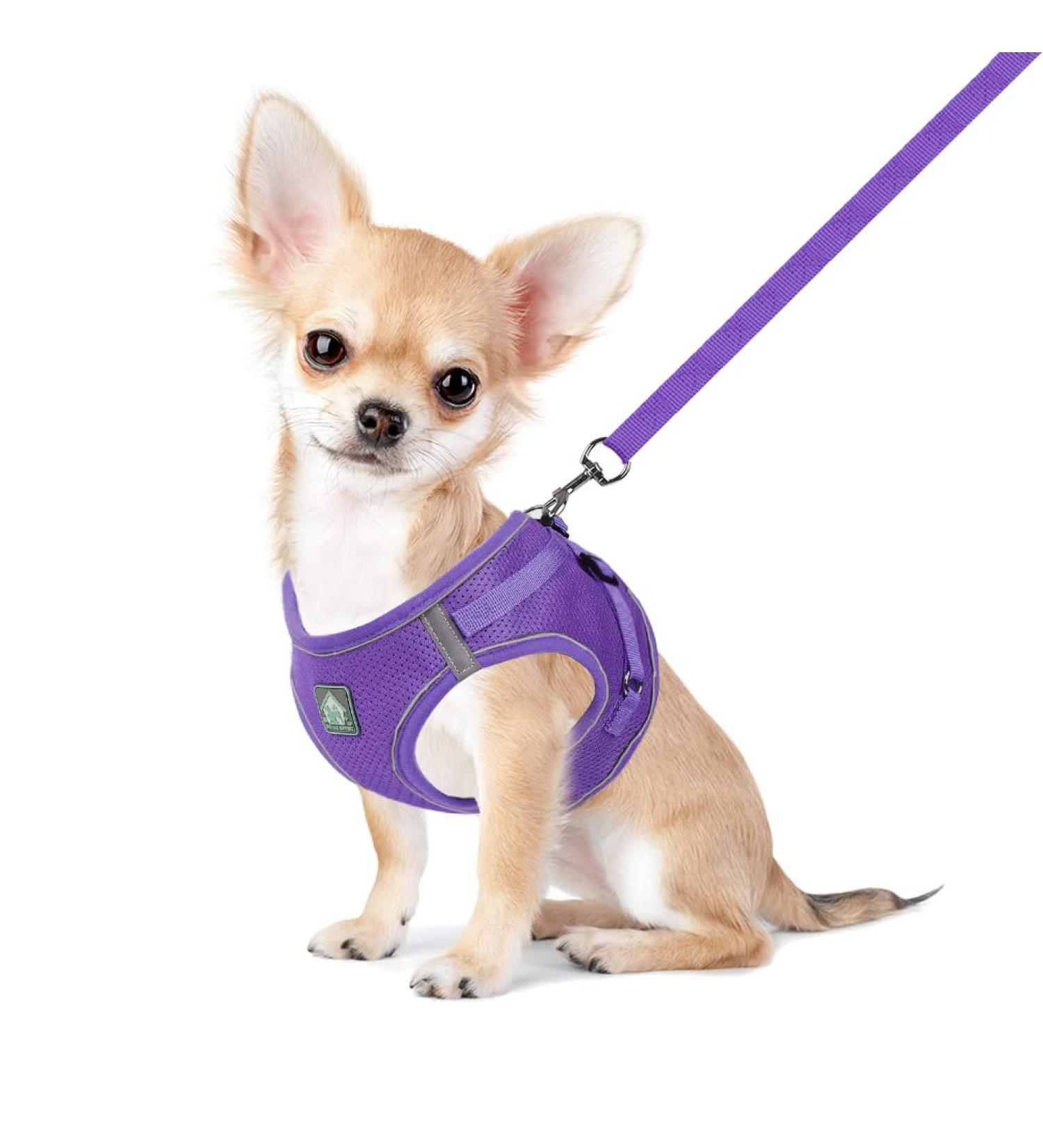 Femax Soft Mesh Dog Harness & Leash for Small Medium Dogs & Cats - Adjustable No Pull Vest Reflective Breakable Purple (Chest 41-46cm) - Buy Online on GoSupps.com