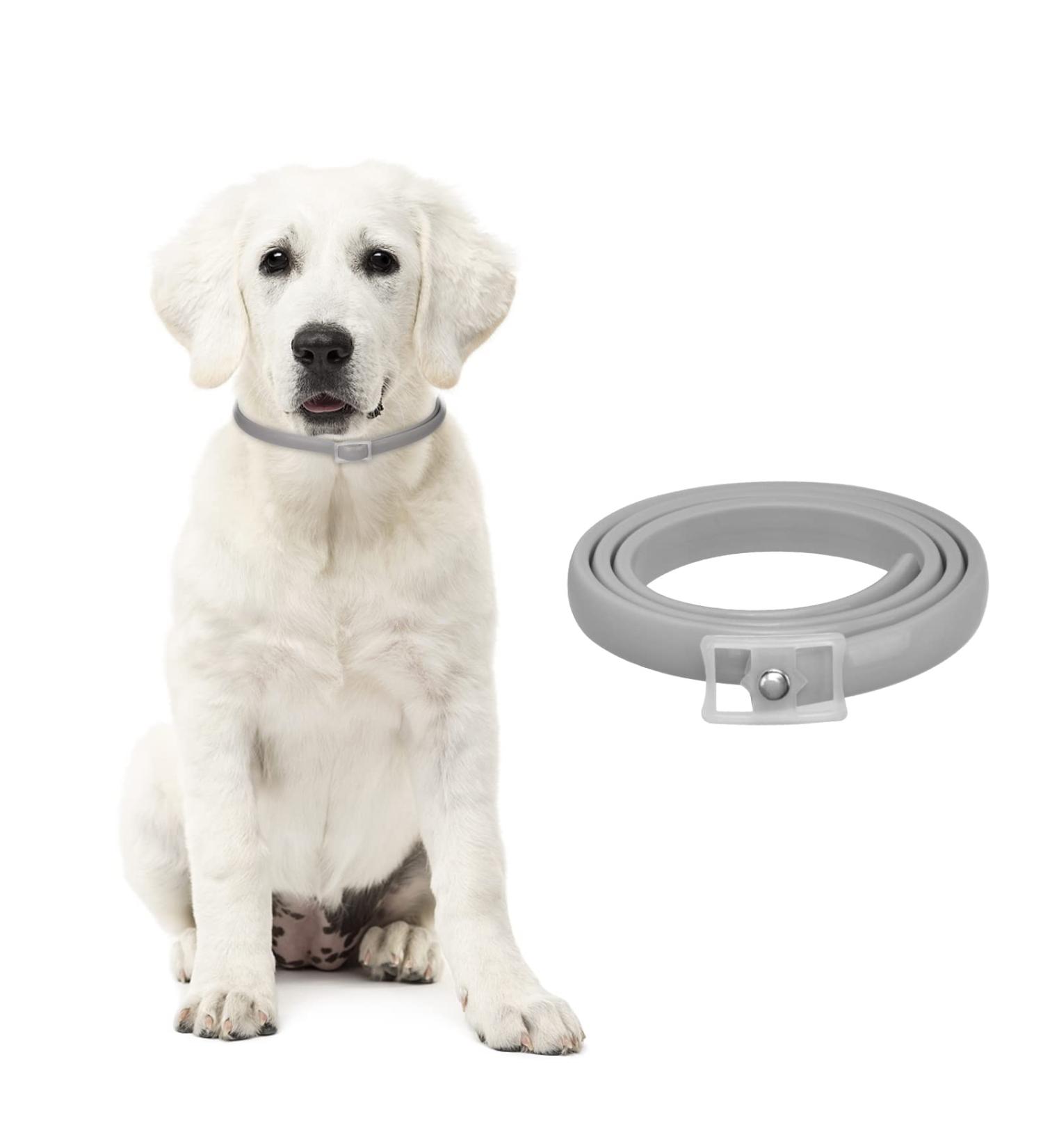 Dewel 63.5cm Waterproof Tick Collar for Dogs & Cats | Effective Flea & Tick Prevention | Adjustable Neck Band - Buy Online on GoSupps.com