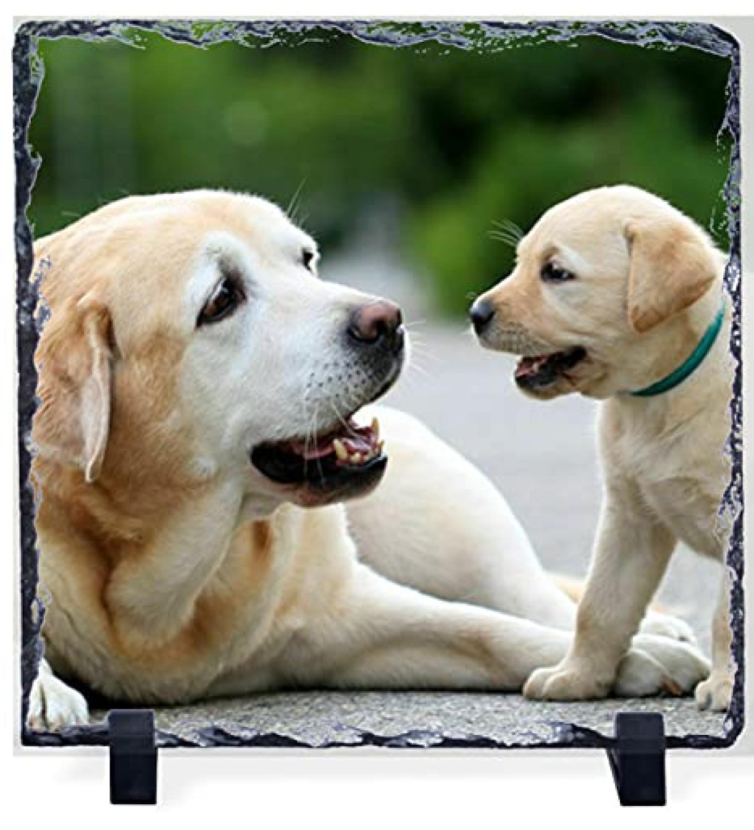 Personalised Square Gloss Photo Slate 300x300mm with Stand | Premium Quality Customised Photo Gift - Buy Online on GoSupps.com