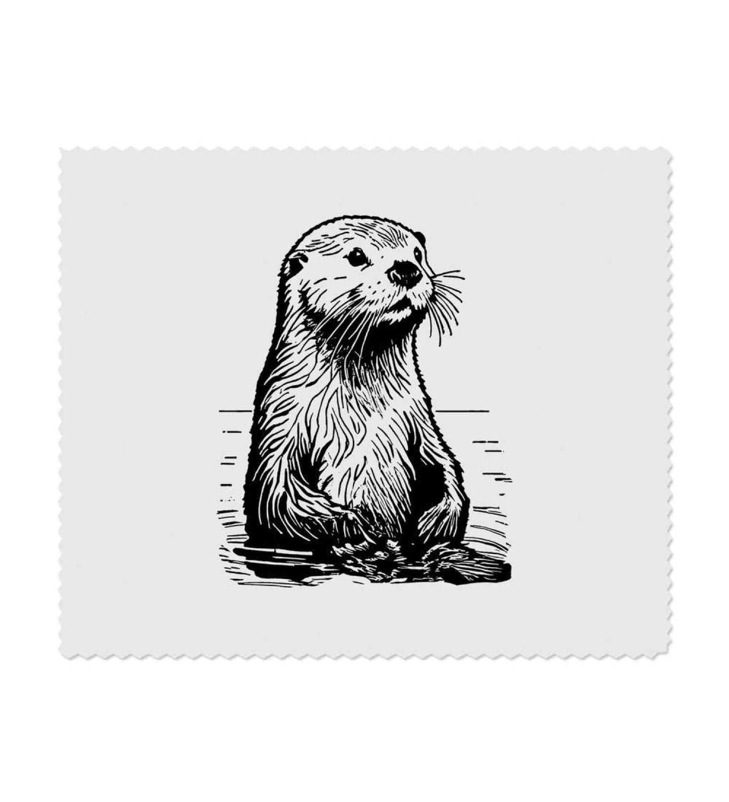 Buy 2 x 'Sea Otter' Microfiber Lens Cleaning Cloths - Premium Quality Glasses Cleaner for Eyewear & Screens - International Shipping Available - Buy Online on GoSupps.com