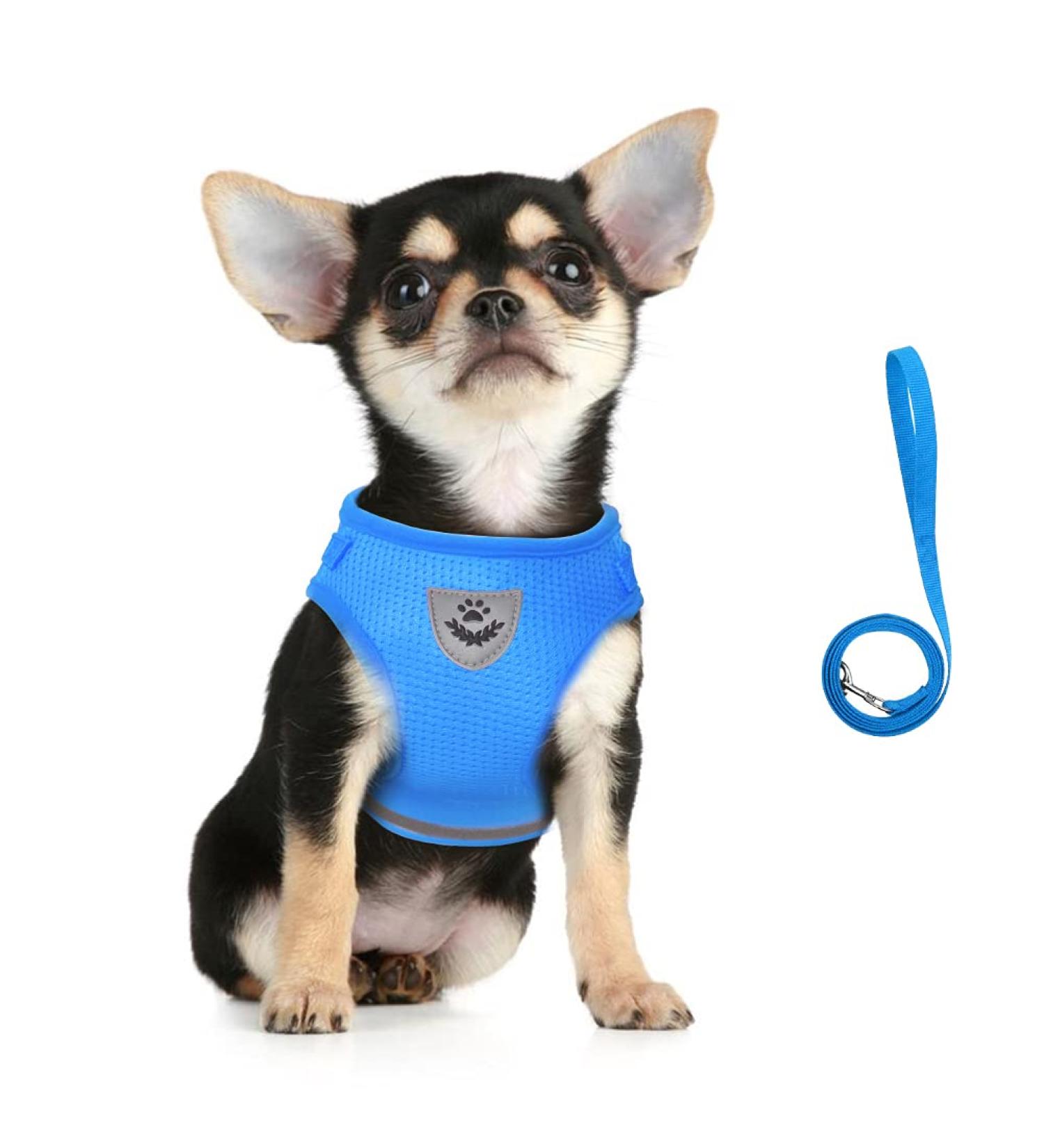 Buy Femax Dog Harness & Linen Set - Soft Mesh Reflective Adjustable & Breathable for Dogs Puppies and Cats | Ideal for Walking Running & Training (Breast 30-34 cm) - Azure - Buy Online on GoSupps.com