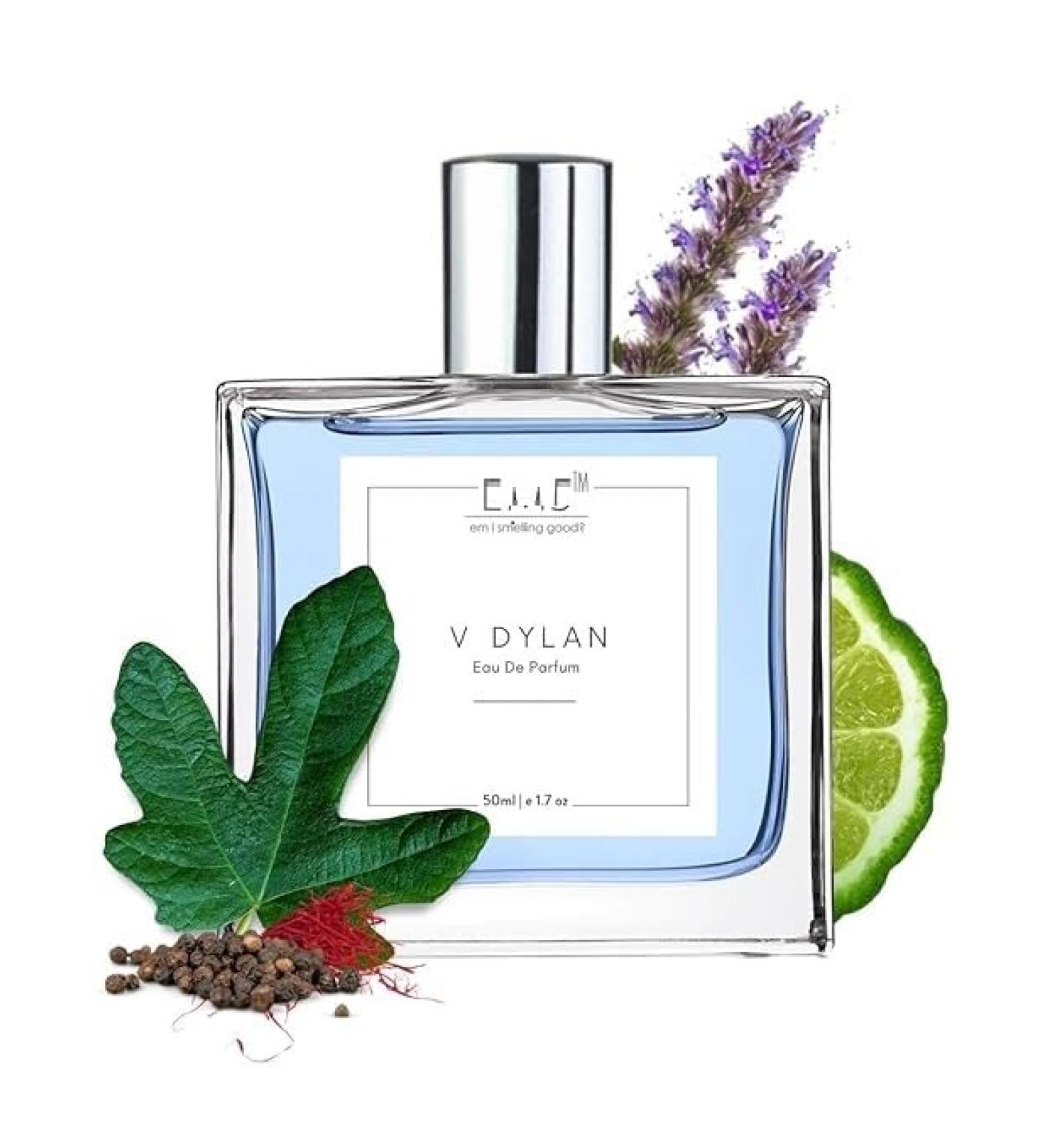 EMS VDylan EDP Perfume for Men | Aromatic Woody Fresh Fragrance | Strong and Long Lasting Spray | Luxury Gift for Him | (50ml / 1.7 Fl Oz) - Buy Online on GoSupps.com