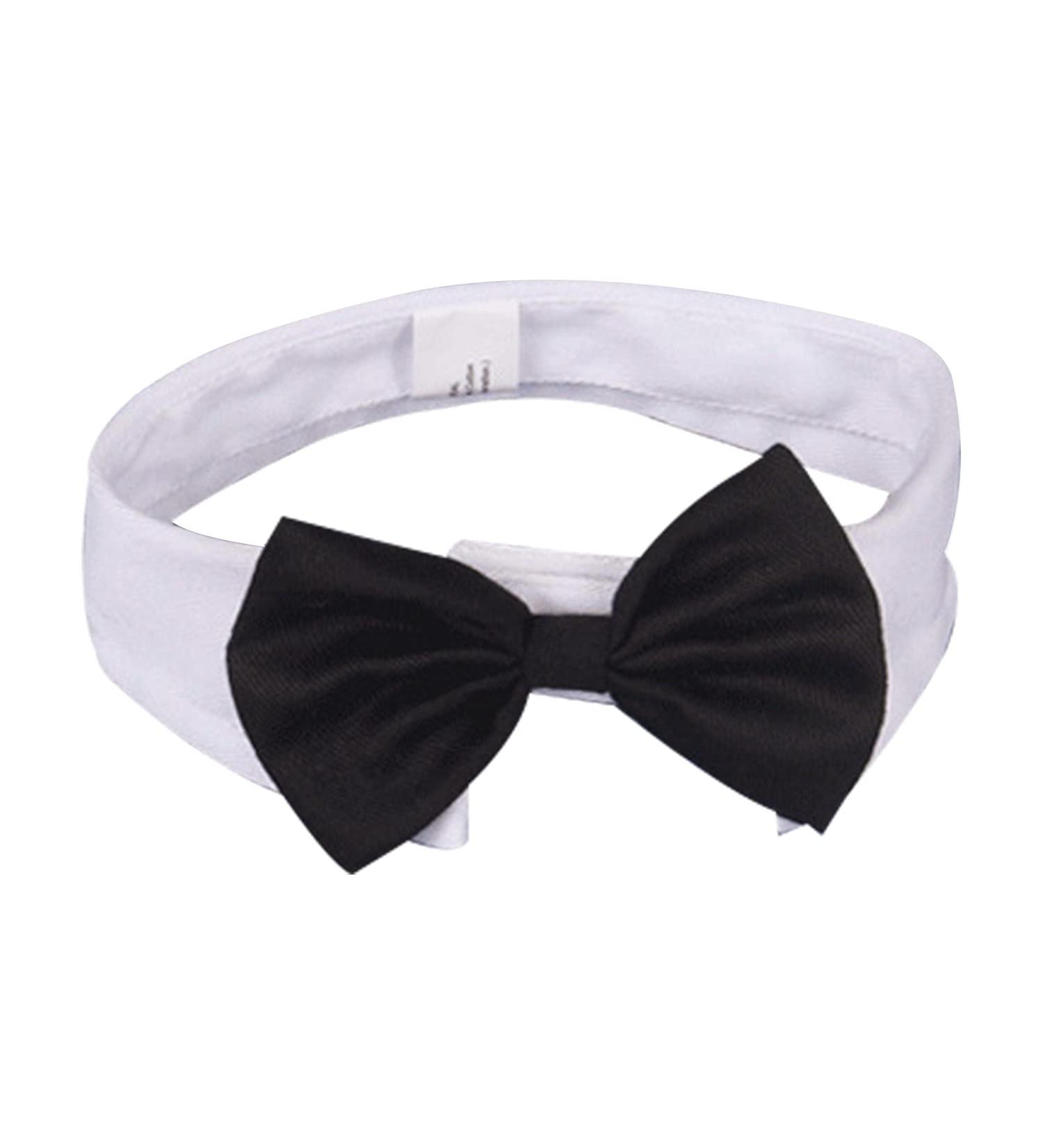Formal Pets Bowtie Dog Cat Pets Adjustable Bow Tie and Collar Cats Puppy Grooming Ties Party Accessories Adjustable Pets Dog Cat Bow Tie Pet Costume Necktie Collar for Medium Large Boy Dog L (Pack of 1) - Buy Online on GoSupps.com