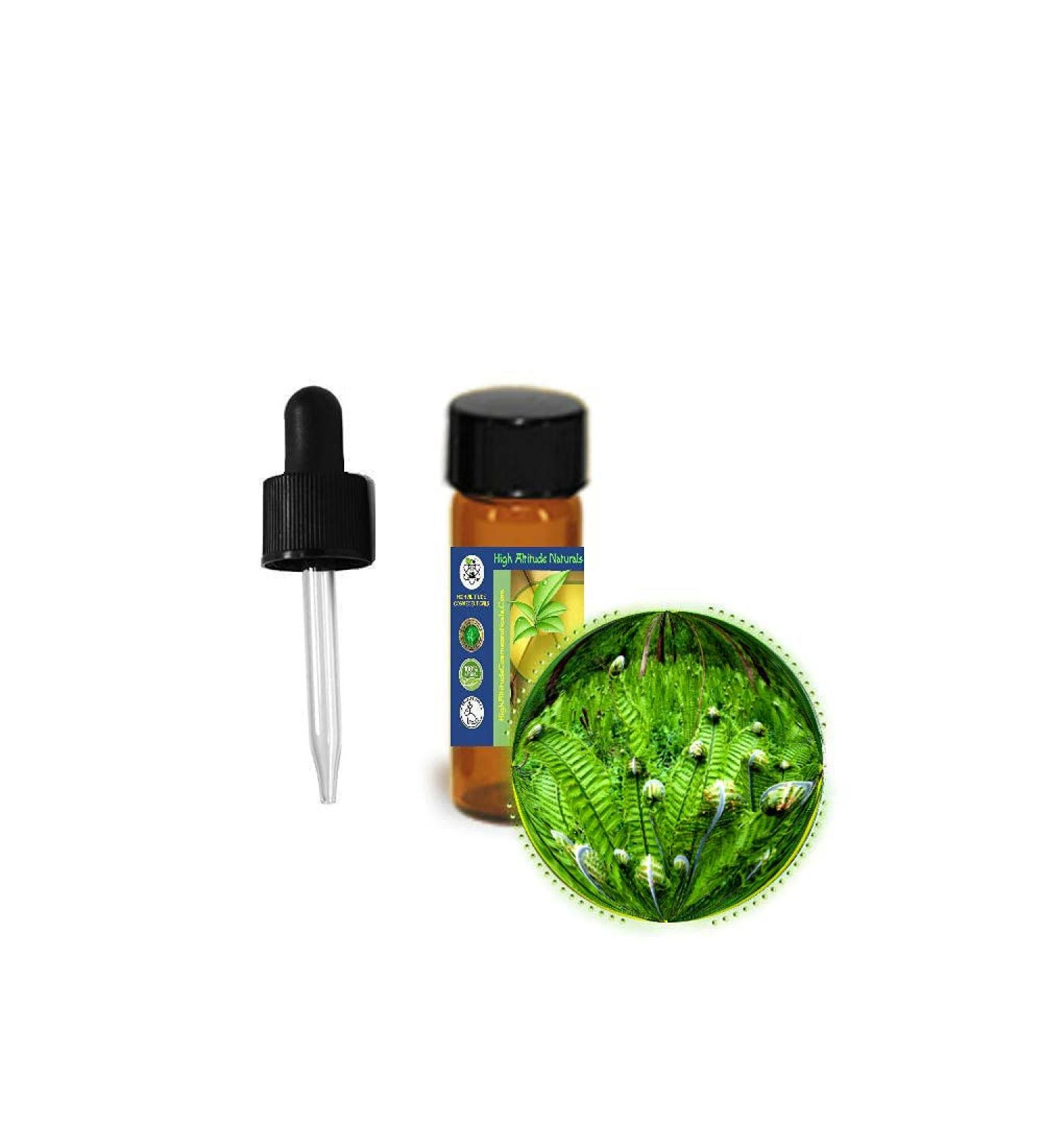 3.7ml (1/8oz) Fougere (Fern) Absolute Oil - Masculine Fragrance - Quintessence of Manhood