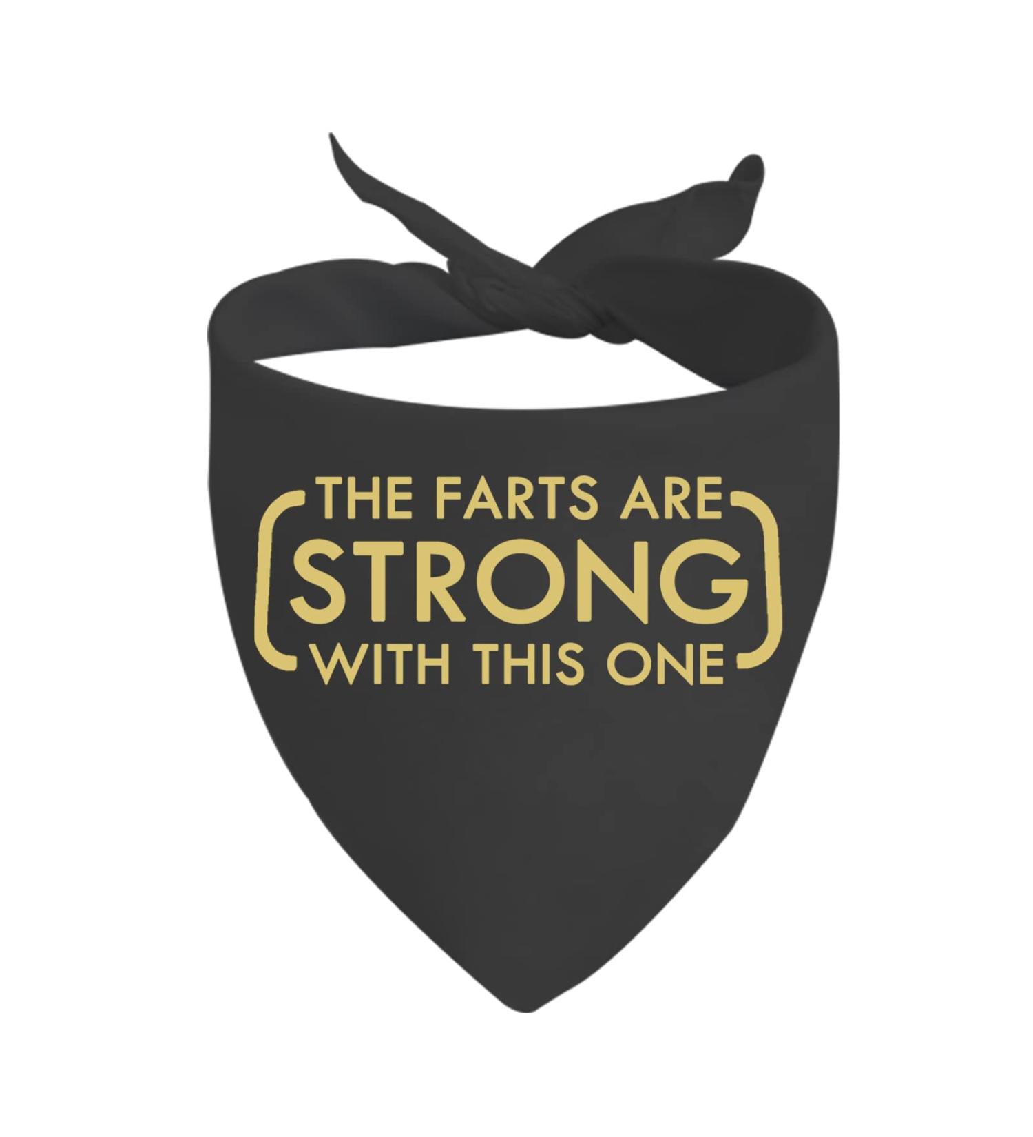 JXGZSO 1 Piece The Farts are Strong with This One Dog Bandana Funny Dog Mom Gift (Farts are Strong CA) - Buy Online on GoSupps.com