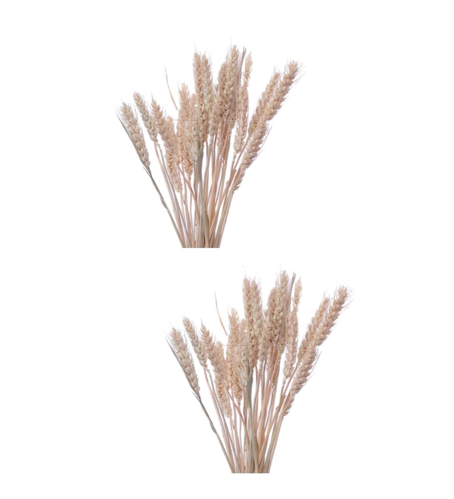 Zerodeko Color Dried Wheat Bouquets 30 Pcs Home Decor Natural Dried Flowers Wheat Artificial Flower Wheat Sheaf Bundle As Shownx2pcs mediumx2pcs - Buy Online on GoSupps.com