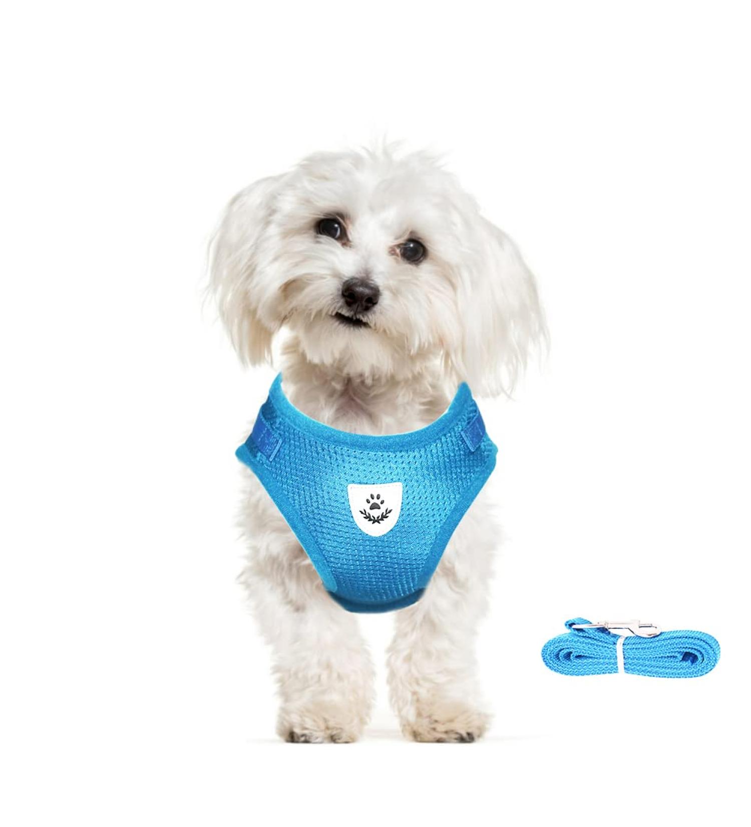 Meioro Adjustable Dog Harness with Leash - Soft Padded Vest for Small & Medium Dogs - Reflective Black & Azure Blue - Size S (30-34cm) - Buy Online on GoSupps.com