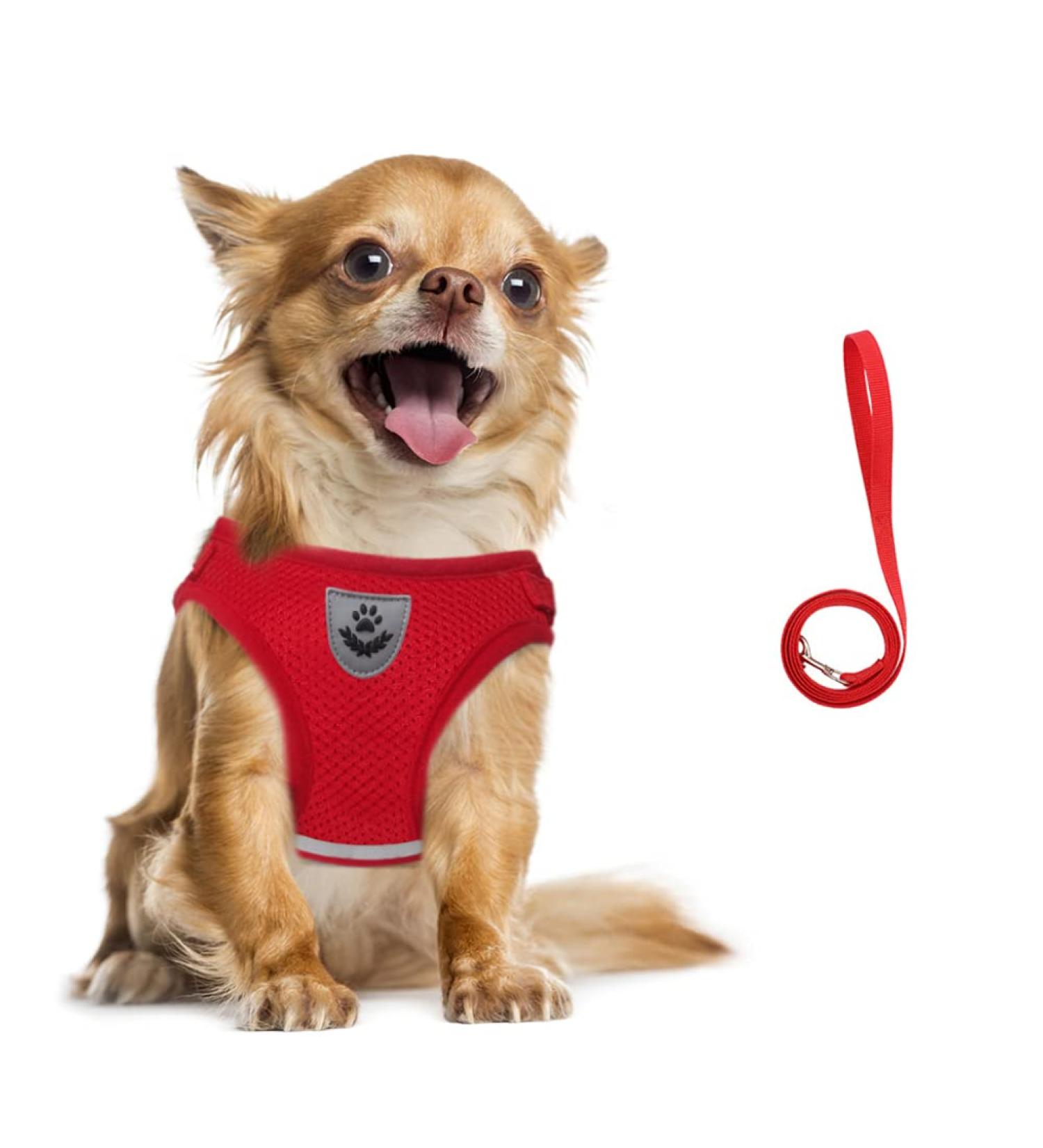 Buy Femax Dog Harness & Linen Set | Soft Mesh Padded Dishes for Puppies & Cats | Adjustable Reflective Breastware for Walking & Training (30-34 cm Red) - Buy Online on GoSupps.com
