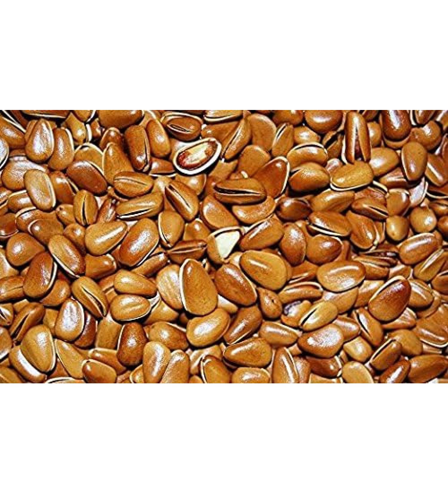 4 Pound (1816 grams) Shelled roasted pine nuts Grade A from Northeast China.
