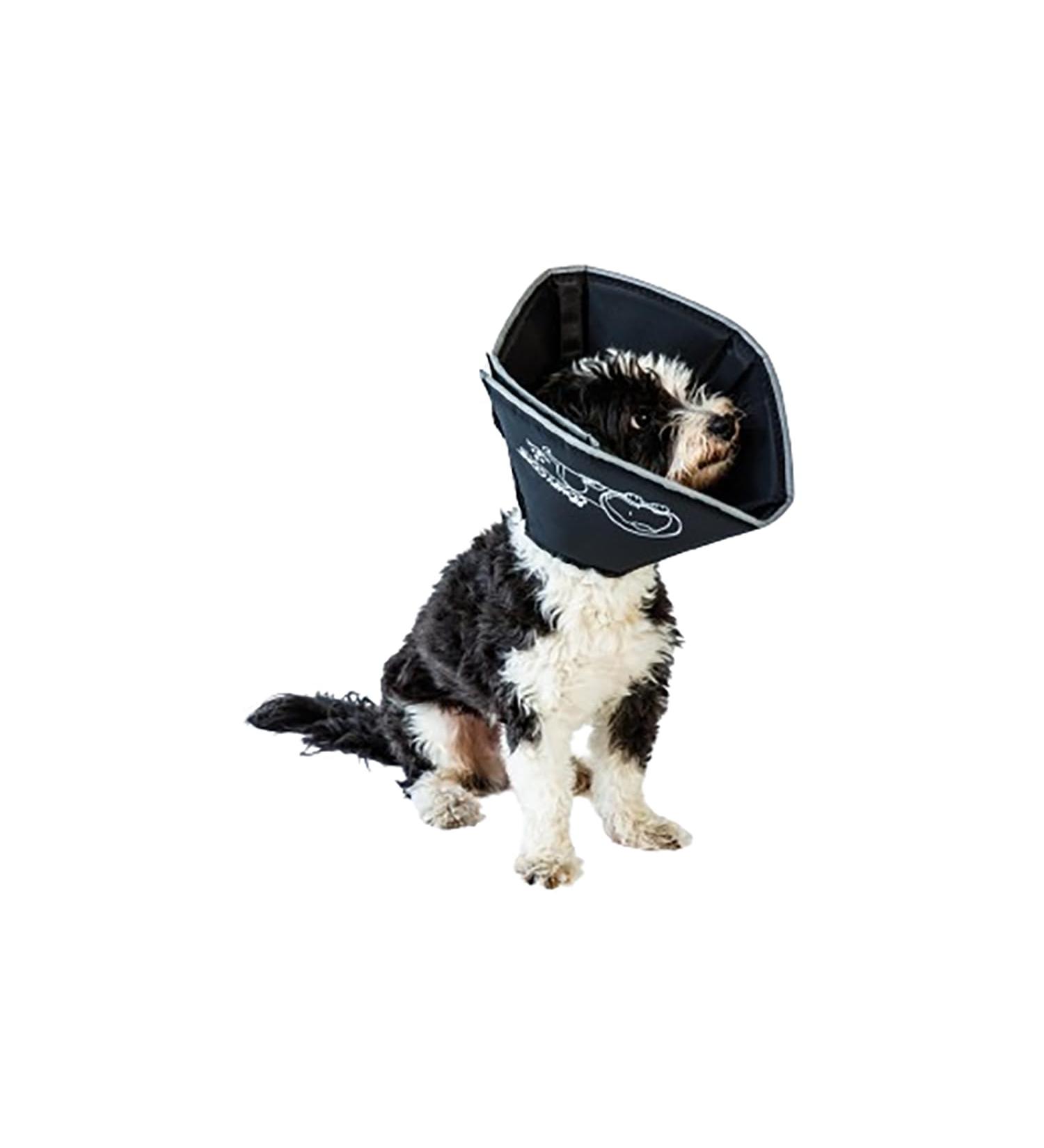 All Four Paws Comfy Cone Pet Collar - XL Black | Post-Surgery Recovery Dog Collar | Comfortable Protective Cone for Pets - Buy Online on GoSupps.com
