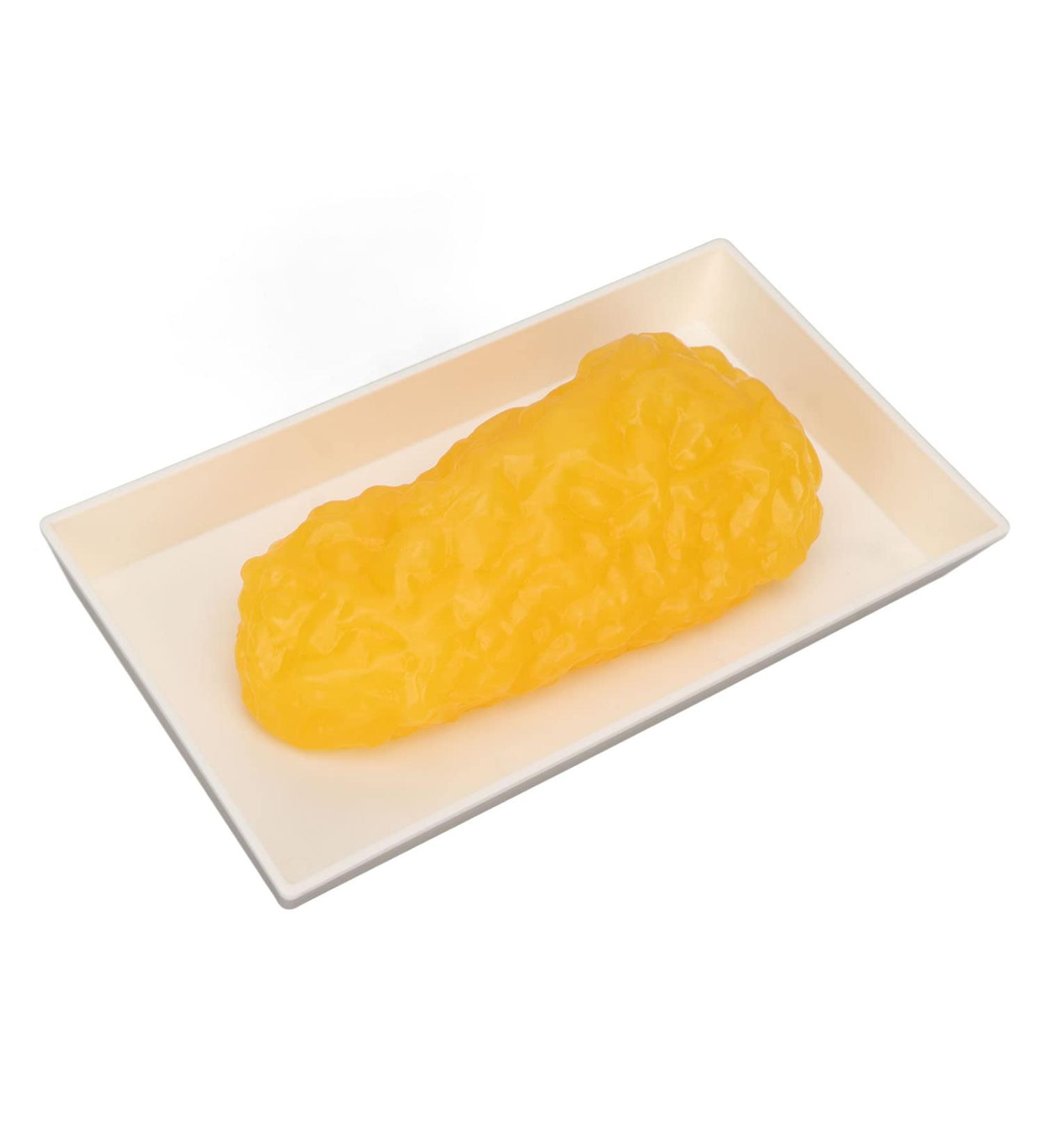 Fat Replica 1 Lb Real Soft Touch Fat Model A True Replica of Human Fatty Tissue for Anatomy Physiology Science Technology Students Nutritionists Doctor Dietitians - Buy Online on GoSupps.com