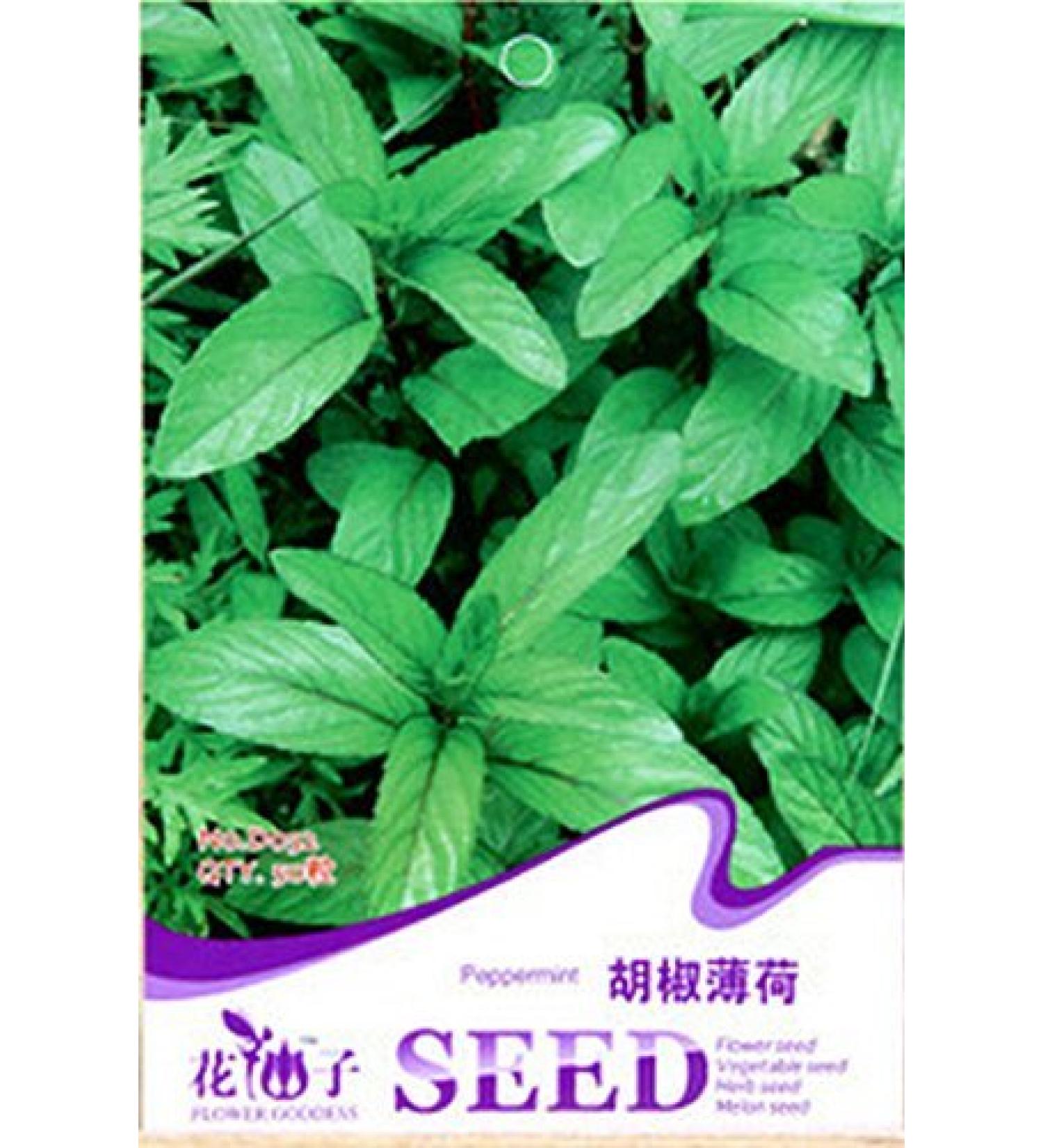 50 semi/Bag Mentha piperita semi arvensis selvatiche Menta Acqua Menta semi di vaniglia imballaggio Originale