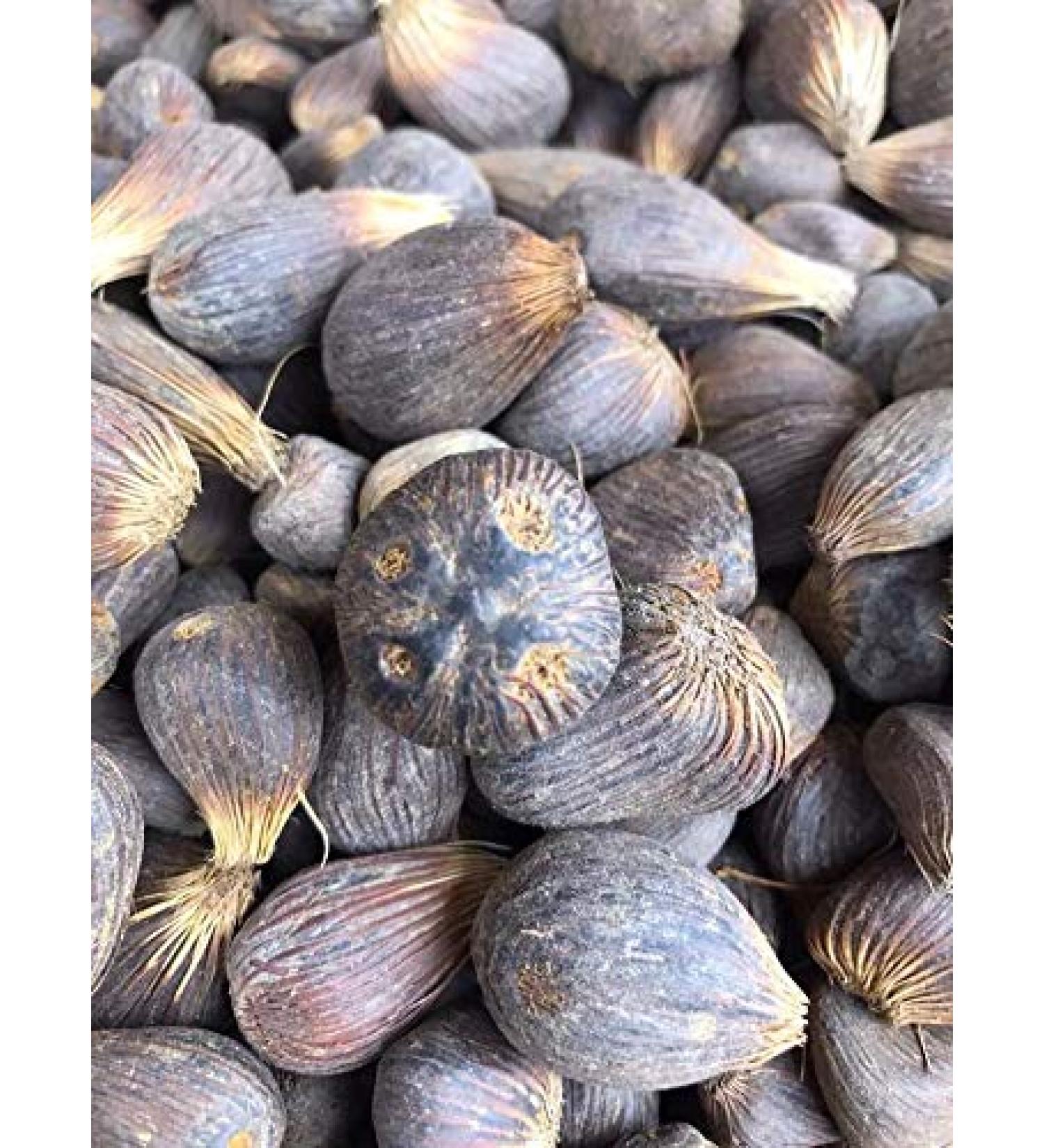 Ikines Hand for OSHA Ifa Santeria.