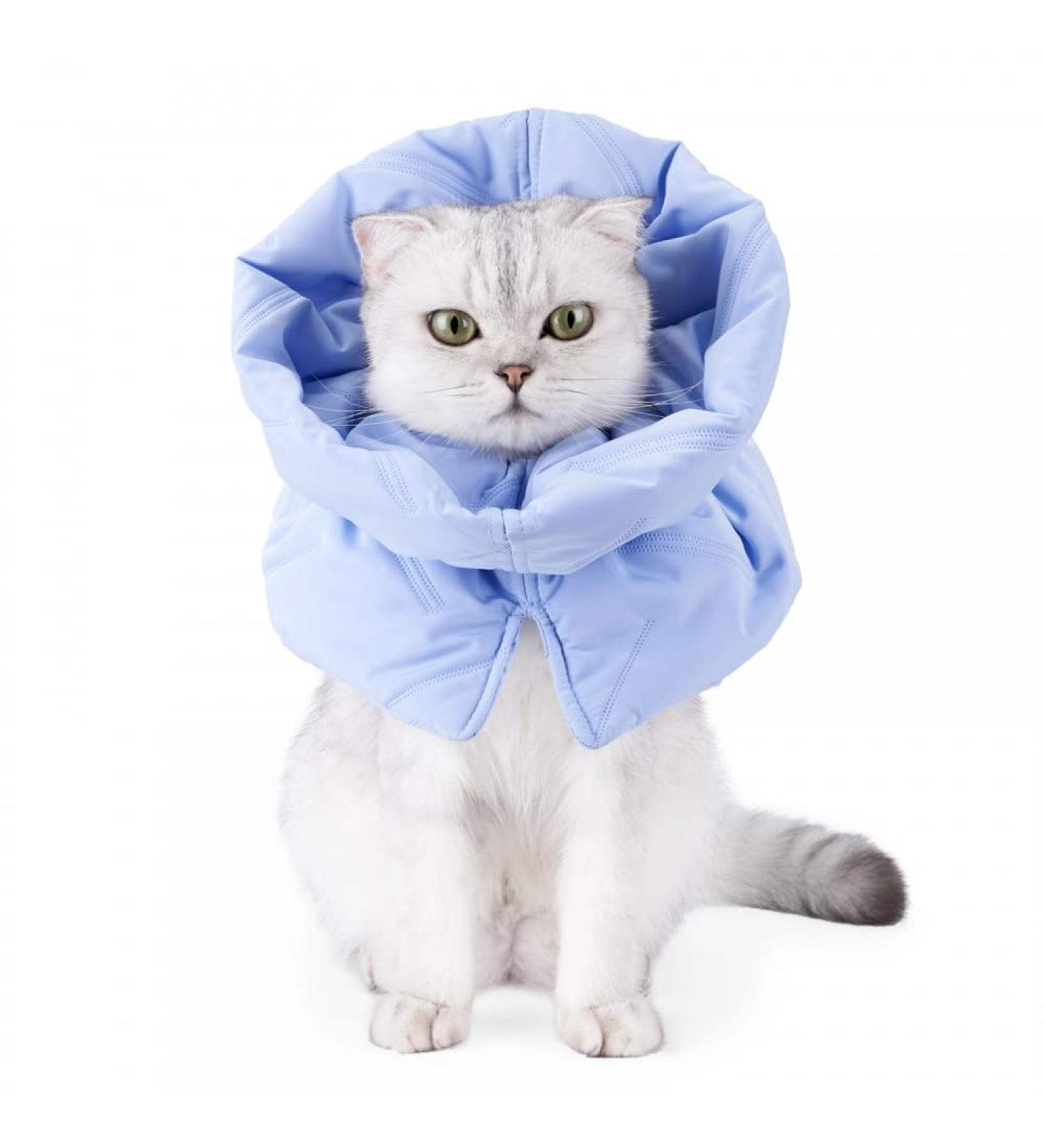 Adjustable Cat Protective Collar - Waterproof Postoperative Cone for Kittens & Cats | Leak Protection & Comfort - Buy Online on GoSupps.com
