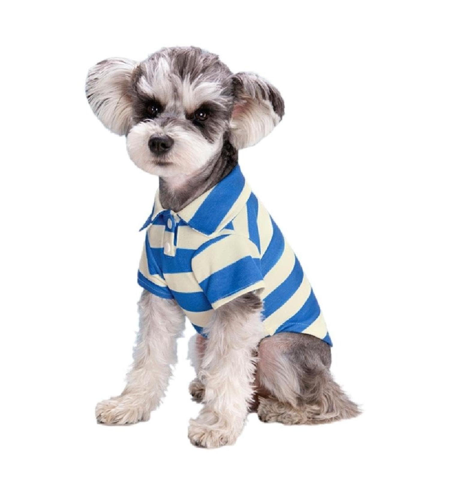 Stylish Blue Striped Polo Shirt for Small Dogs - Breathable Summer Costume for Bichon & French Bulldogs - 2X Large Puppy Fashion - Buy Online on GoSupps.com