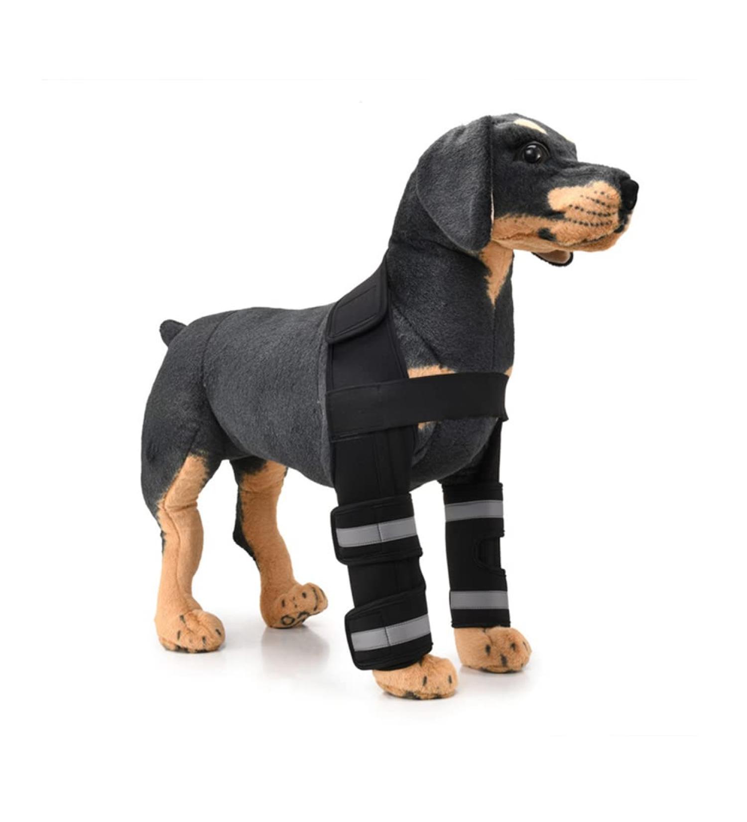Dog Knee Brace Adjustable Dog Front Leg Brace with Metal Spring Support and Reflective Strap Dog Leg Support for Surgery Recovery Front Leg Injury|Black (L) - Buy Online on GoSupps.com