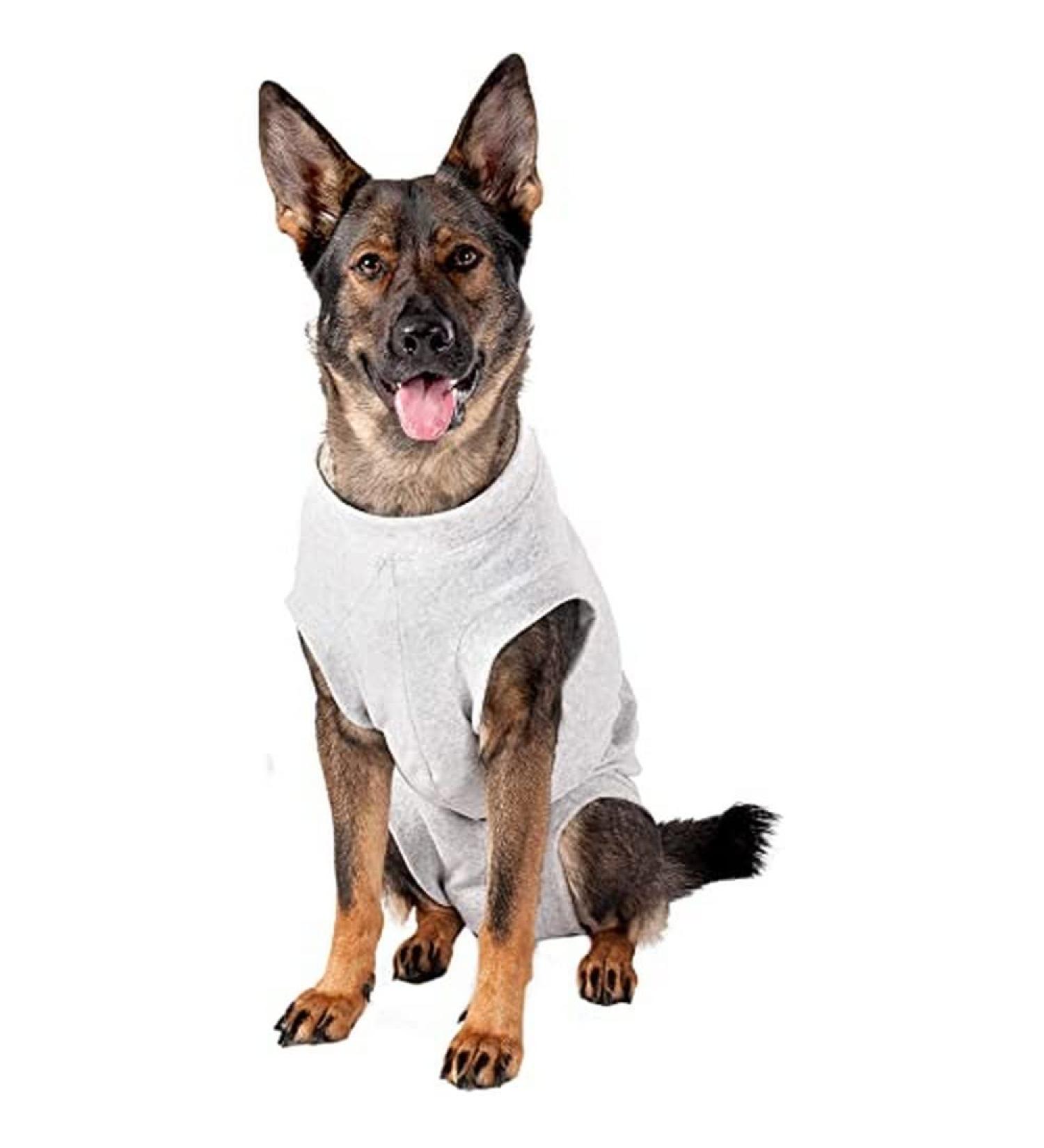 Karlie Safety Body Wound Protection for Dogs - Grey 68cm | International Shipping Available - Buy Online on GoSupps.com